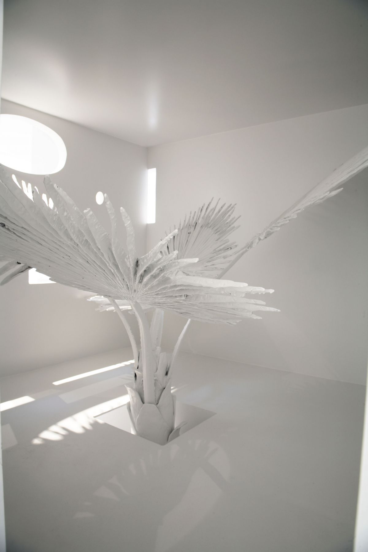white palm leaf by liz craft