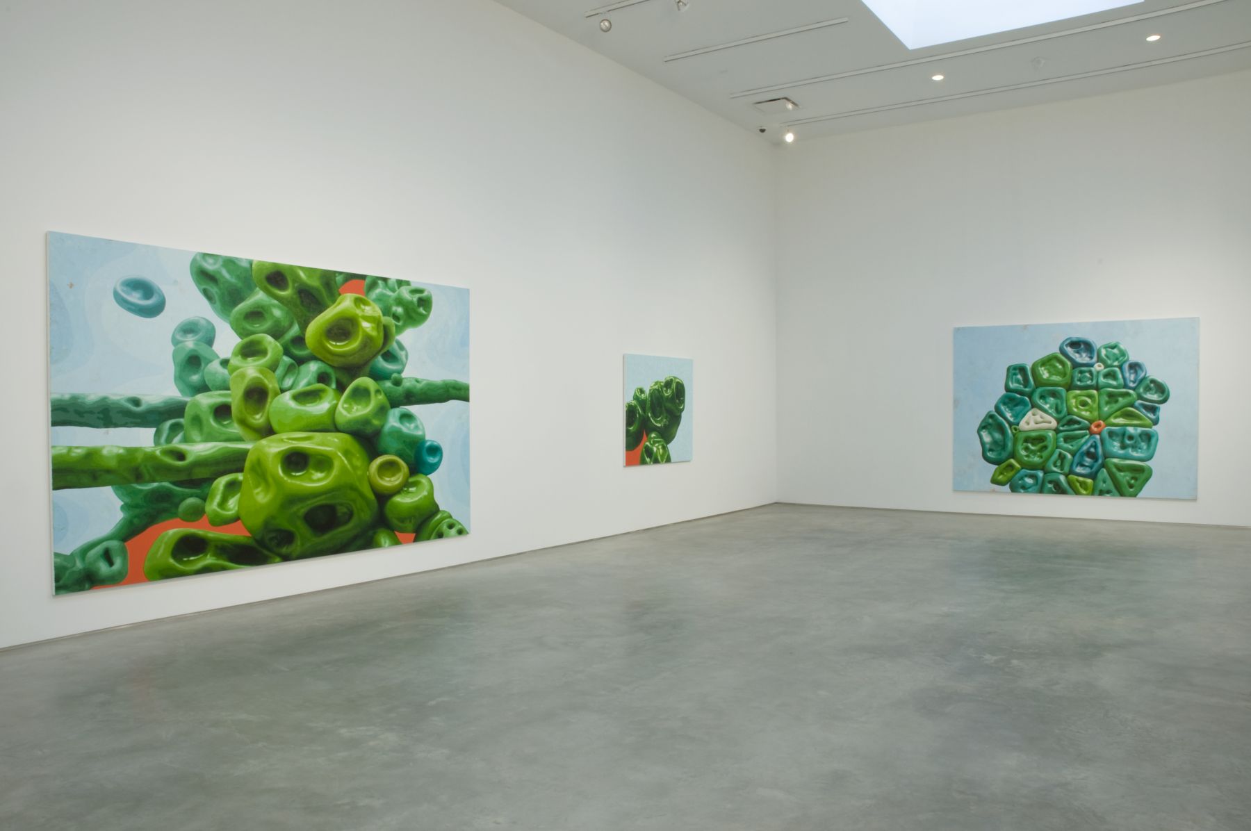 Installation View, Marianne Boesky Gallery, 2008