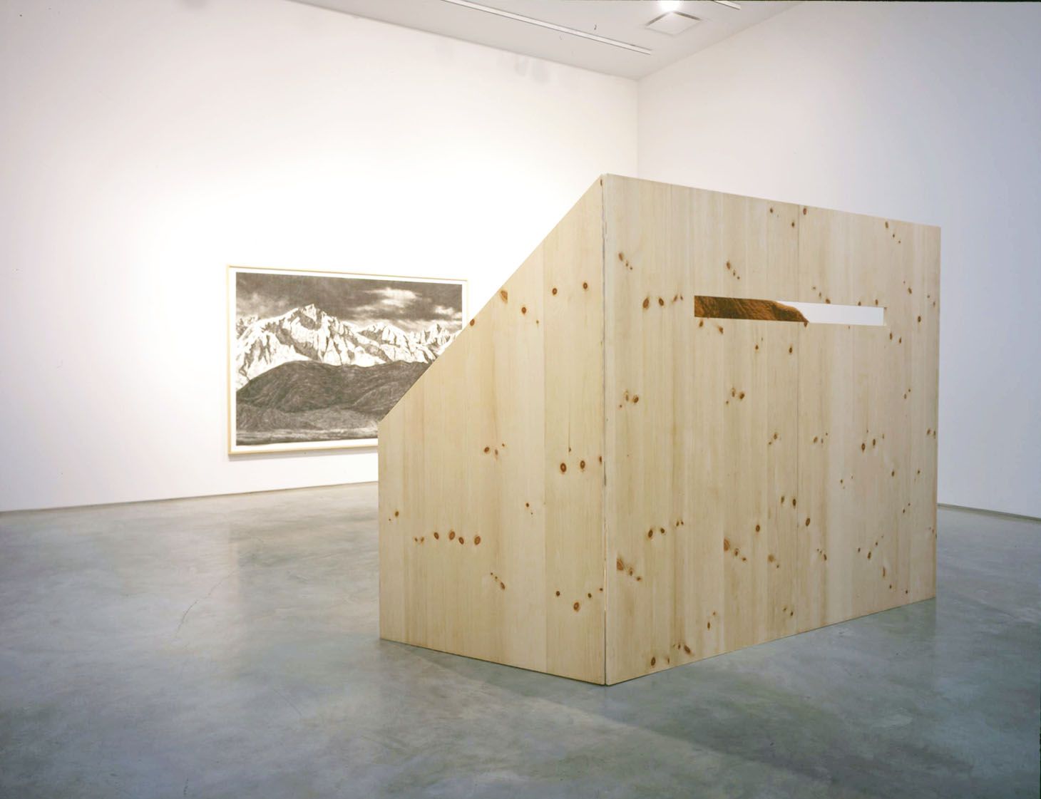 Undying Glare, 2007