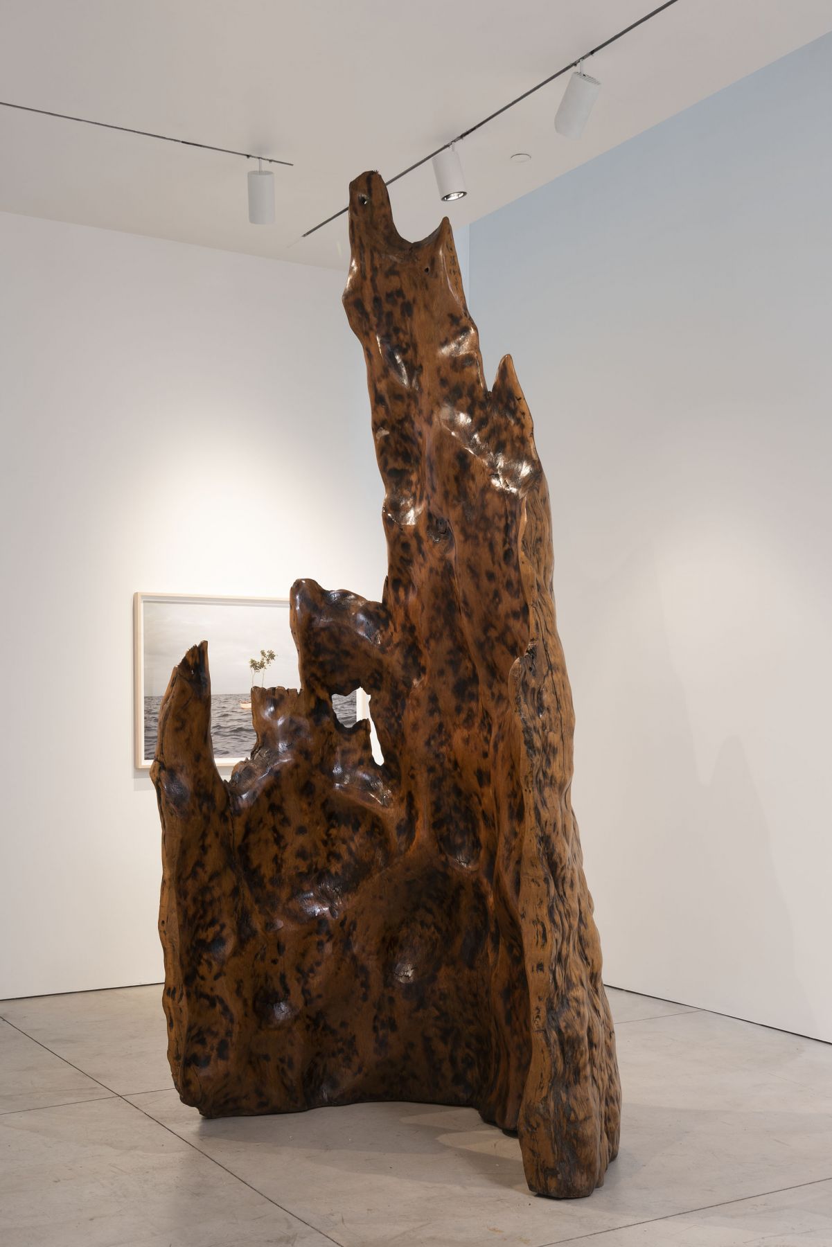 Tropical Molecule (Installation View), Boesky West, 2019
