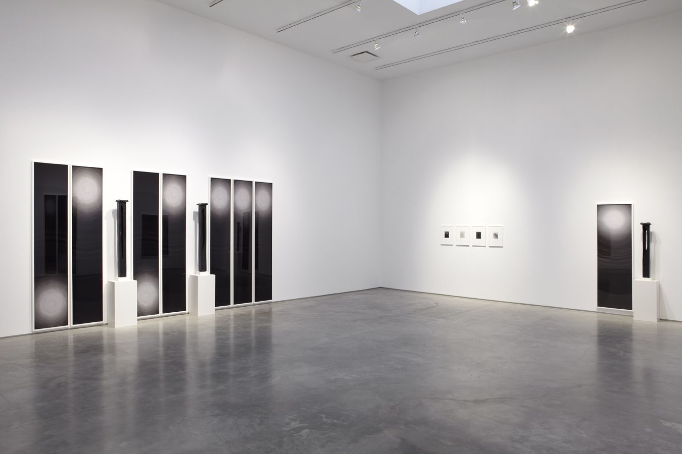 Installation View, Marianne Boesky Gallery, 2009