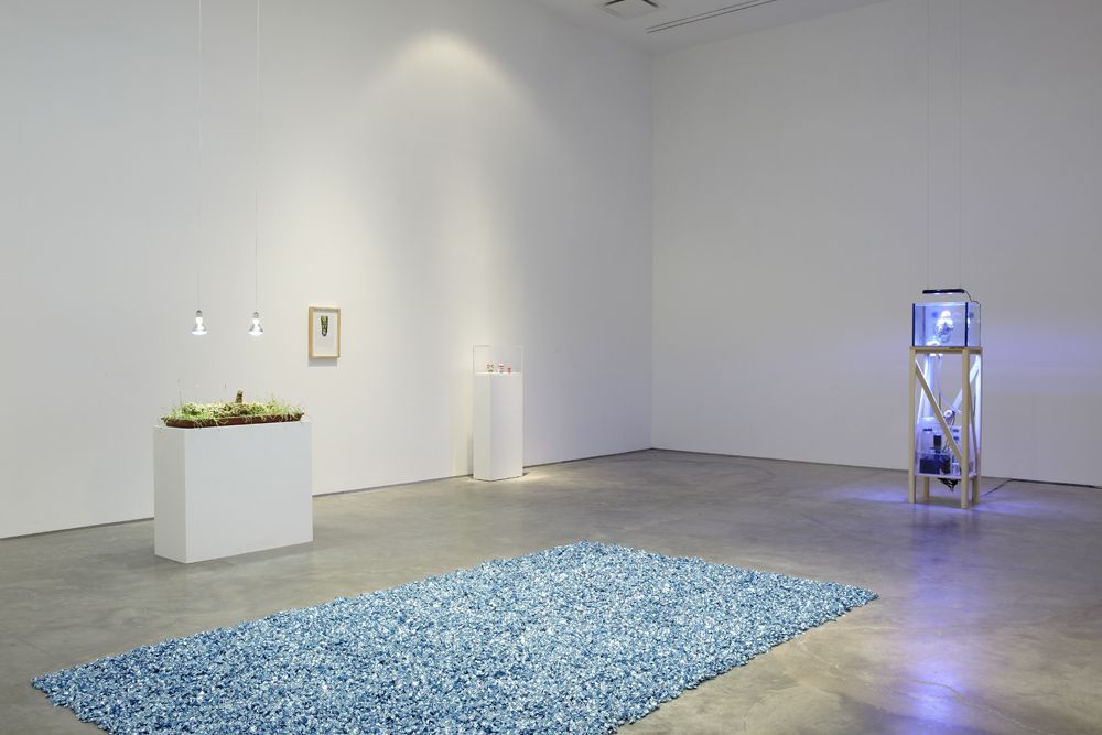 The Nature of Disappearance: Part I (Installation view), Marianne Boesky Gallery, 2012
