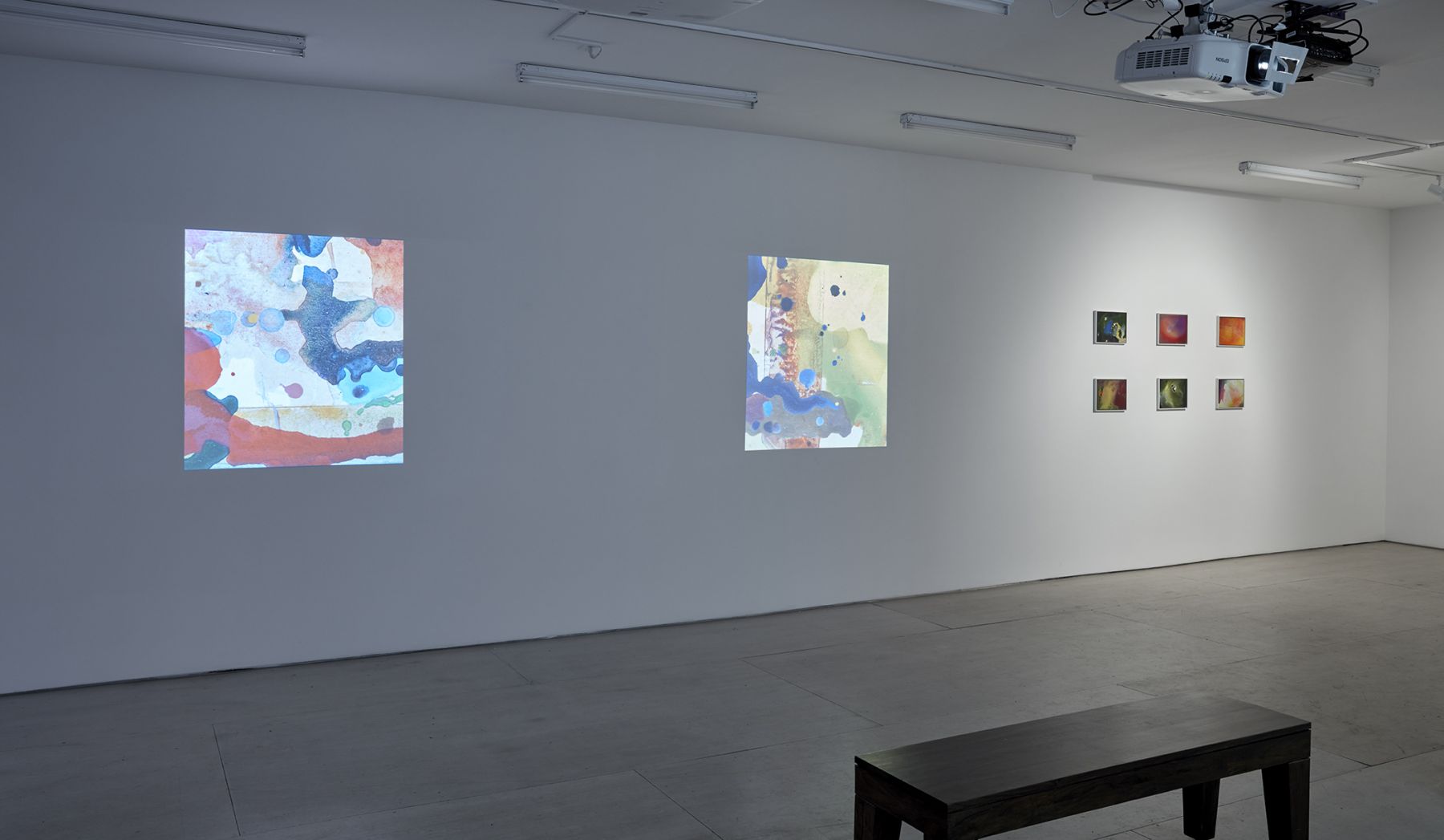 Jacco Olivier (Installation View), 20 Clinton Street, 2016