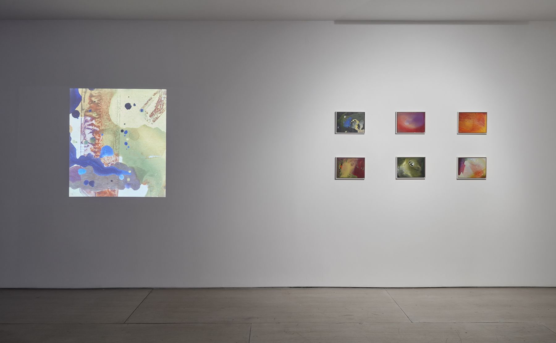 Jacco Olivier (Installation View), 20 Clinton Street, 2016