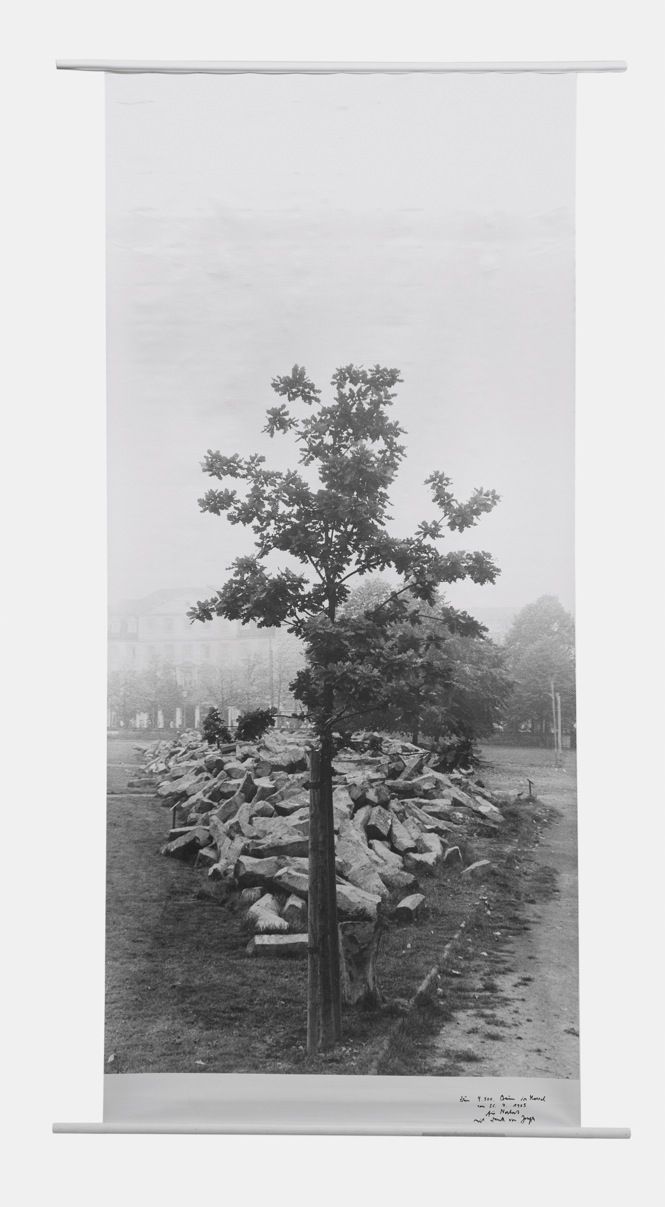 Joseph Beuys, Flag: 7000 Eichen, 7000 Eichen "Erste Eiche vor Basaltsteinen auf Friedrichsplatz", 1985