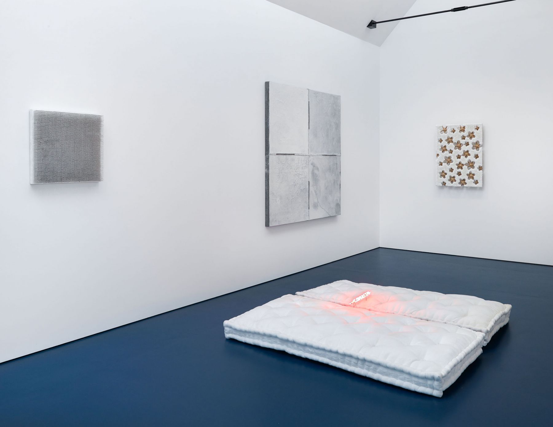 TONIC OF WILDNESS (Installation View), Boesky West, 2017 – 2018