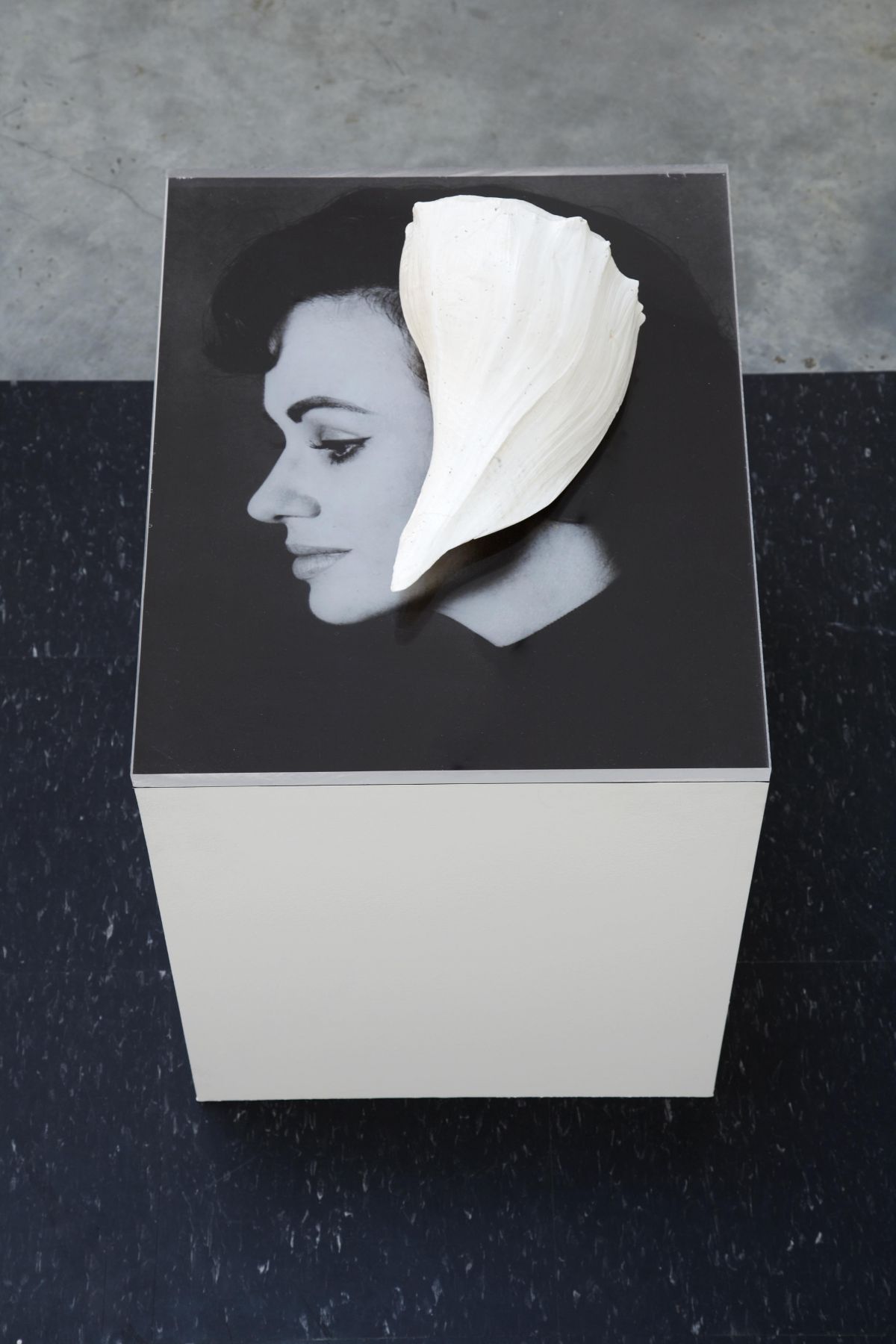 photograph of a woman's profile on a pedestal