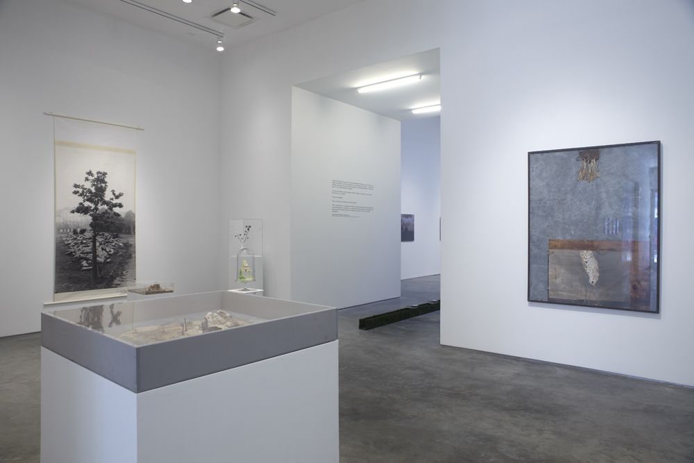 The Nature of Disappearance: Part I (Installation view), Marianne Boesky Gallery, 2012