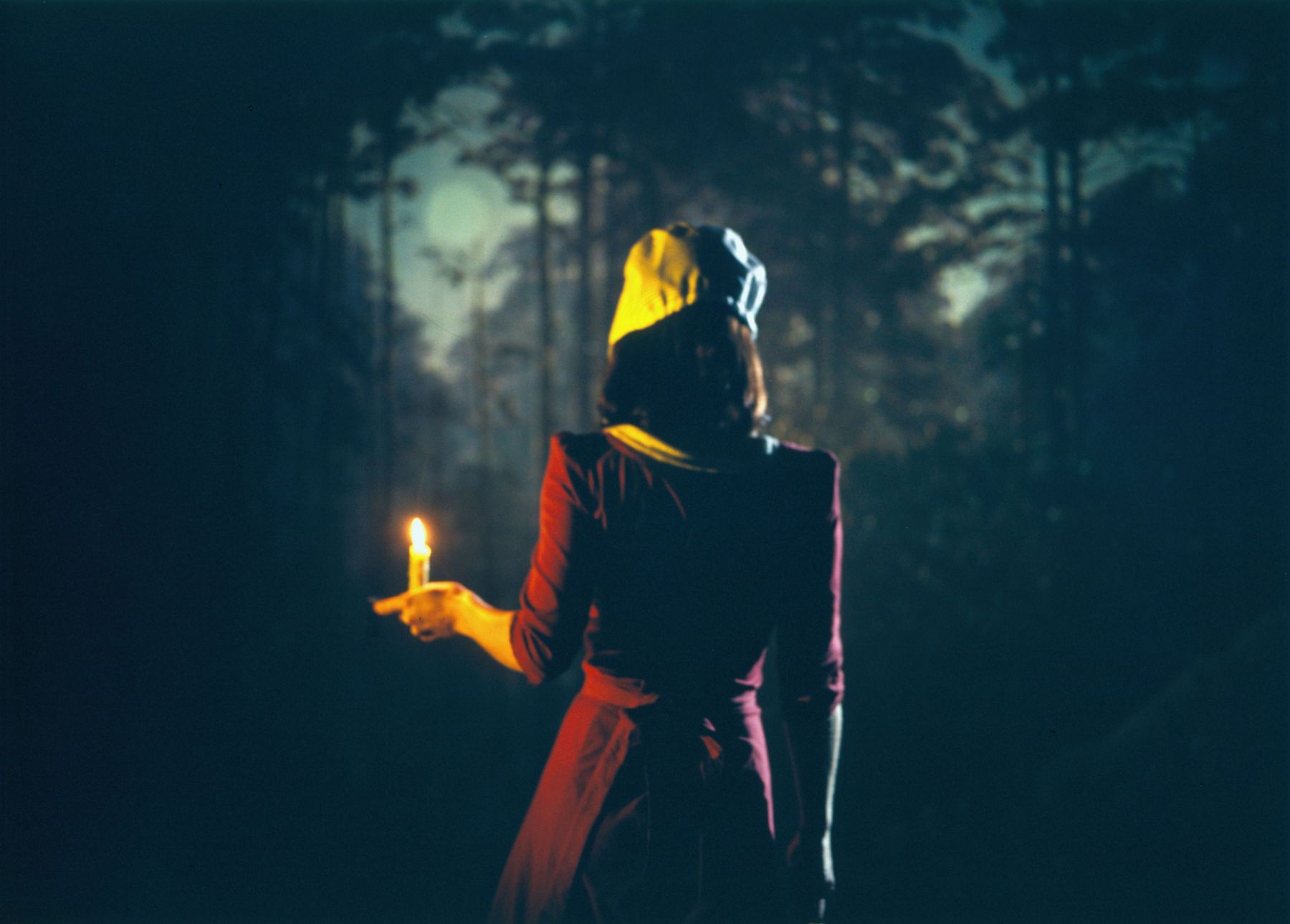 a c-print photograph of a girl in the woods by sue de beer exhibited in a contemporary art gallery