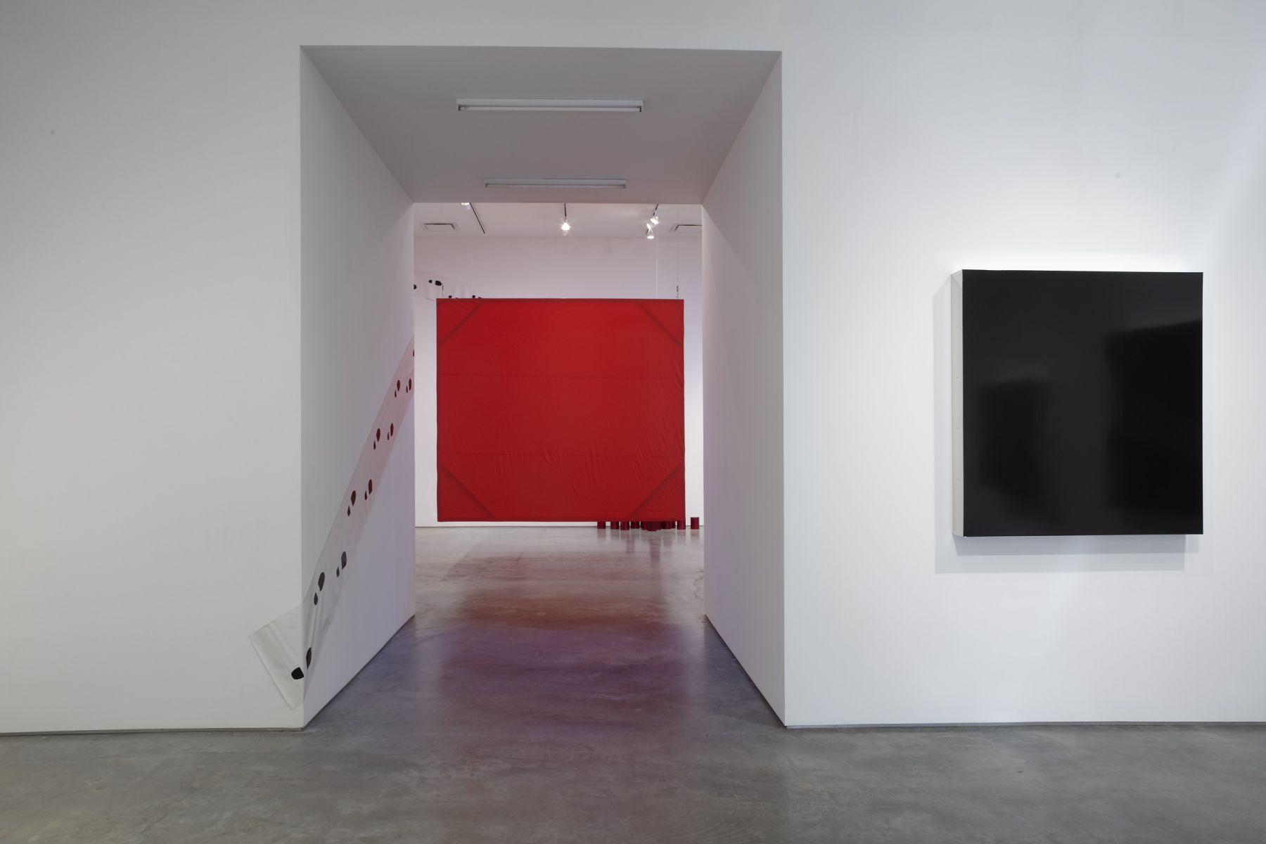 A Masked Portrait Part II: When Vibrations Become Forms (Installation View), Marianne Boesky Gallery, 2011