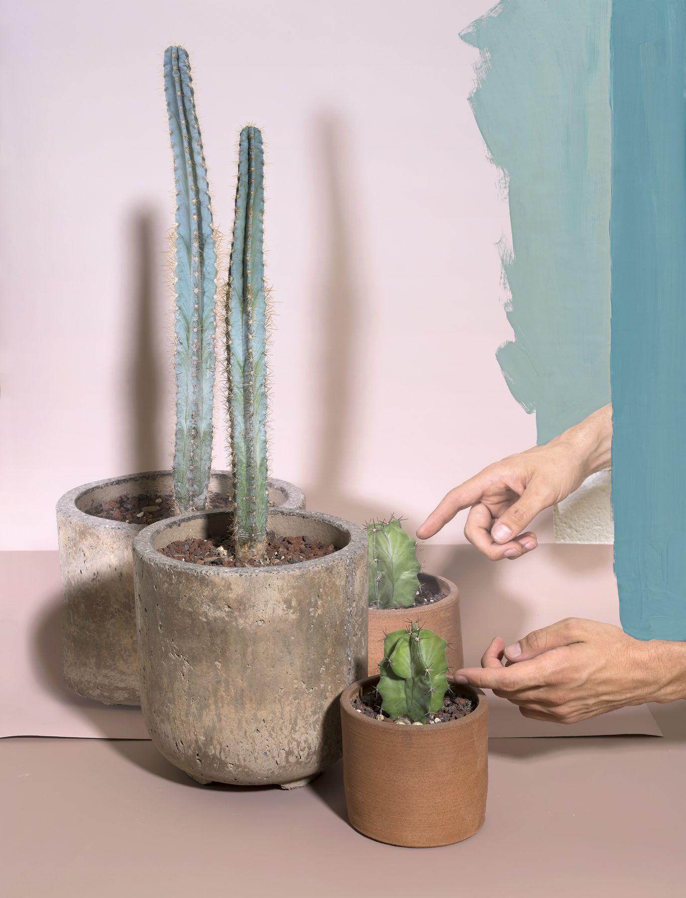 print featuring cactus and hands by the artist John Houck