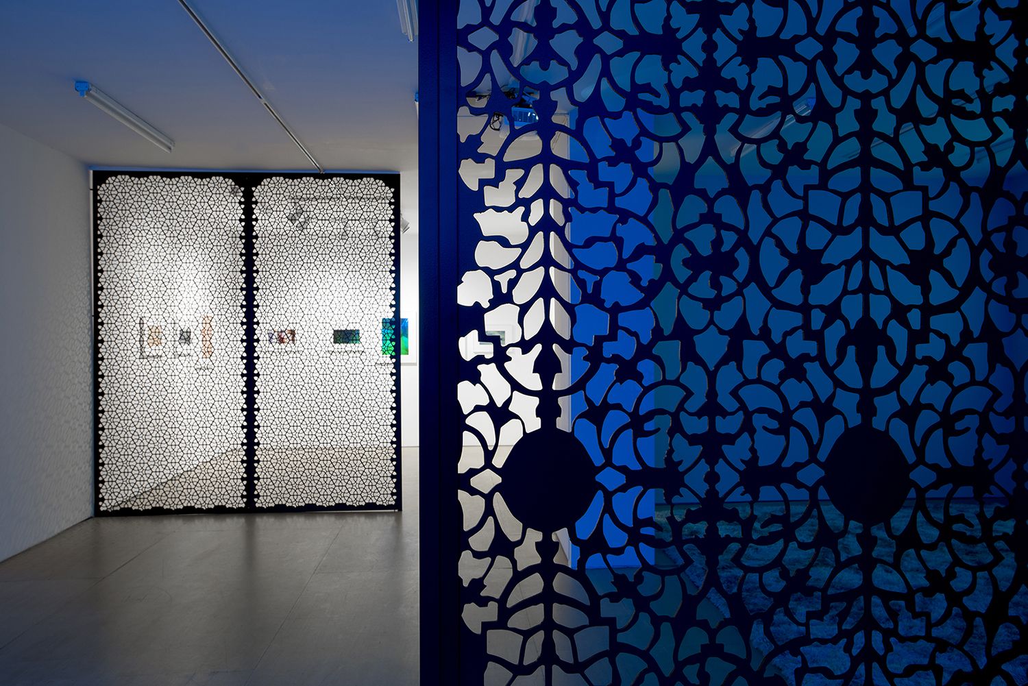 The Blue Lenses (Installation View), 20 Clinton Street, 2015
