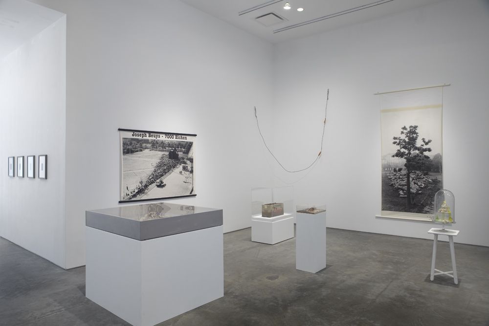 The Nature of Disappearance: Part I (Installation view), Marianne Boesky Gallery, 2012