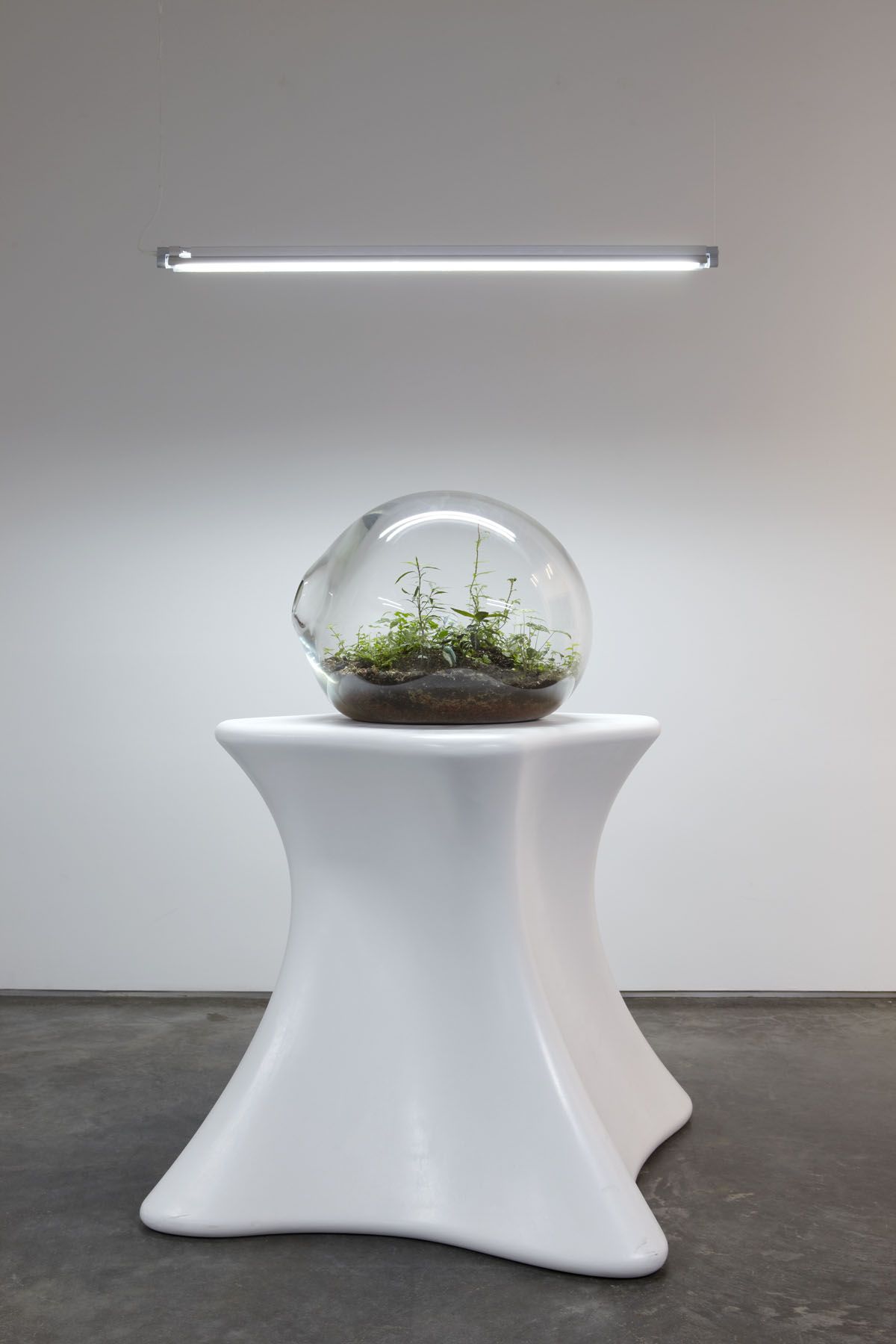 plants in a clear orb on a pedestal by paula hayes