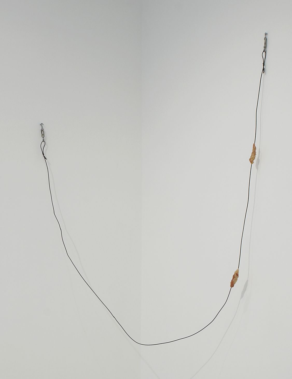 Paul Thek, Untitled (Meat Rope), 1969