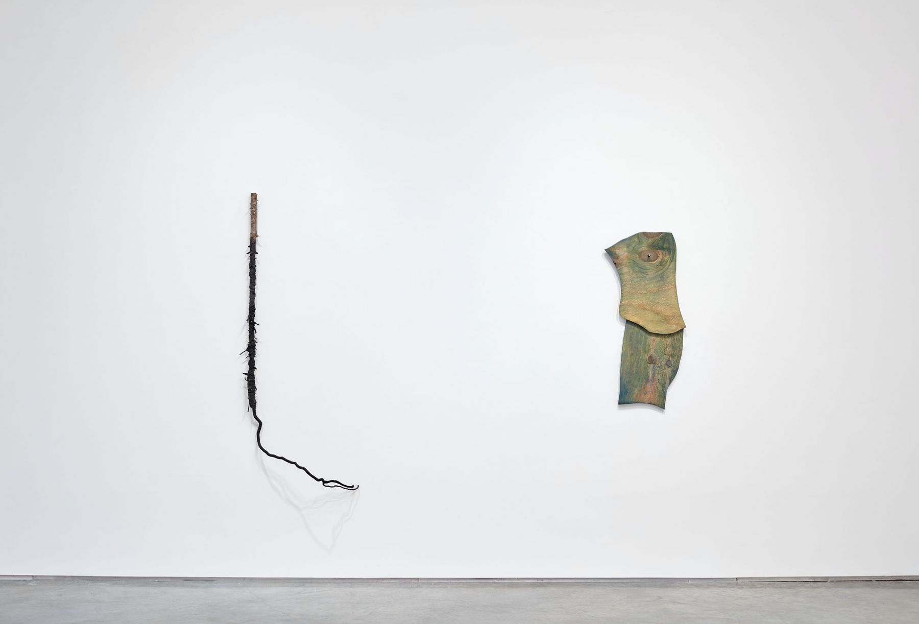 I Talk with the Spirits (Installation View)