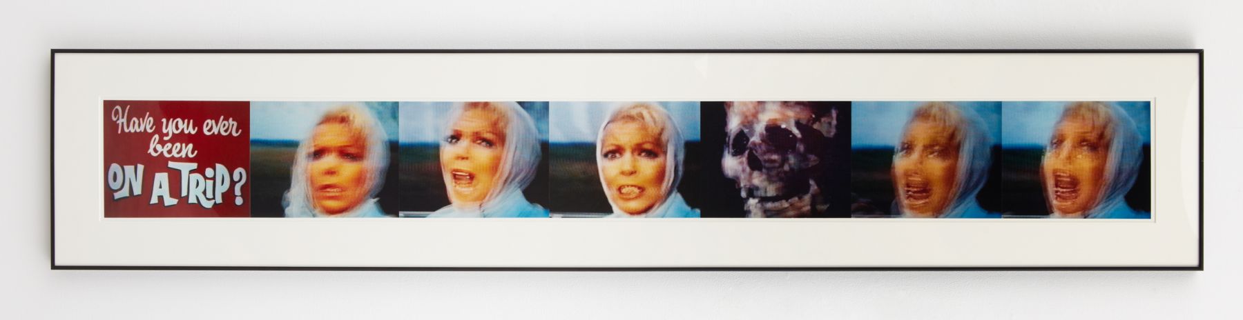 "have you ever been on a trip?" + series of portraits of a woman with skull by john waters