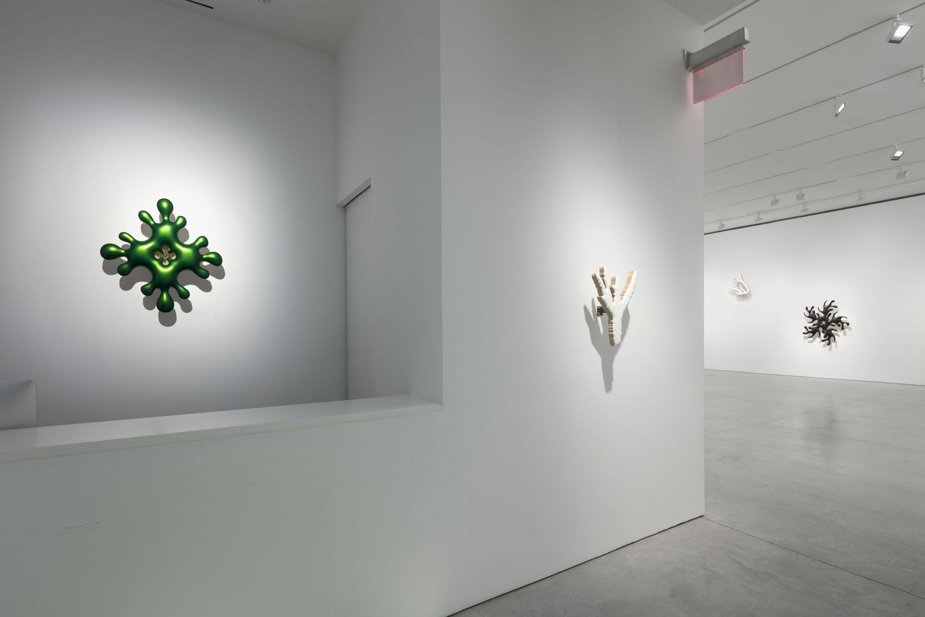 ILL (nature paintings) (Installation View), Marianne Boesky Gallery, 2019