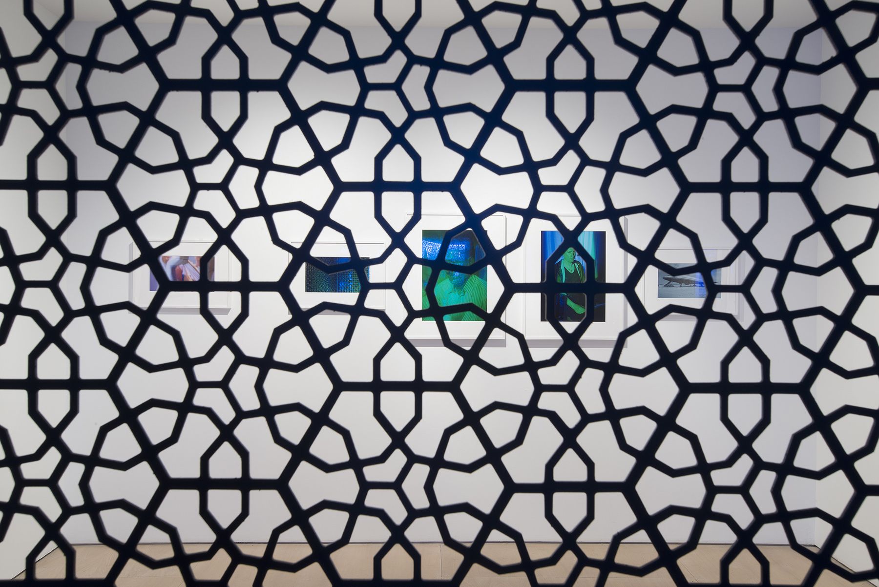 The Blue Lenses (Installation View), 20 Clinton Street, 2015