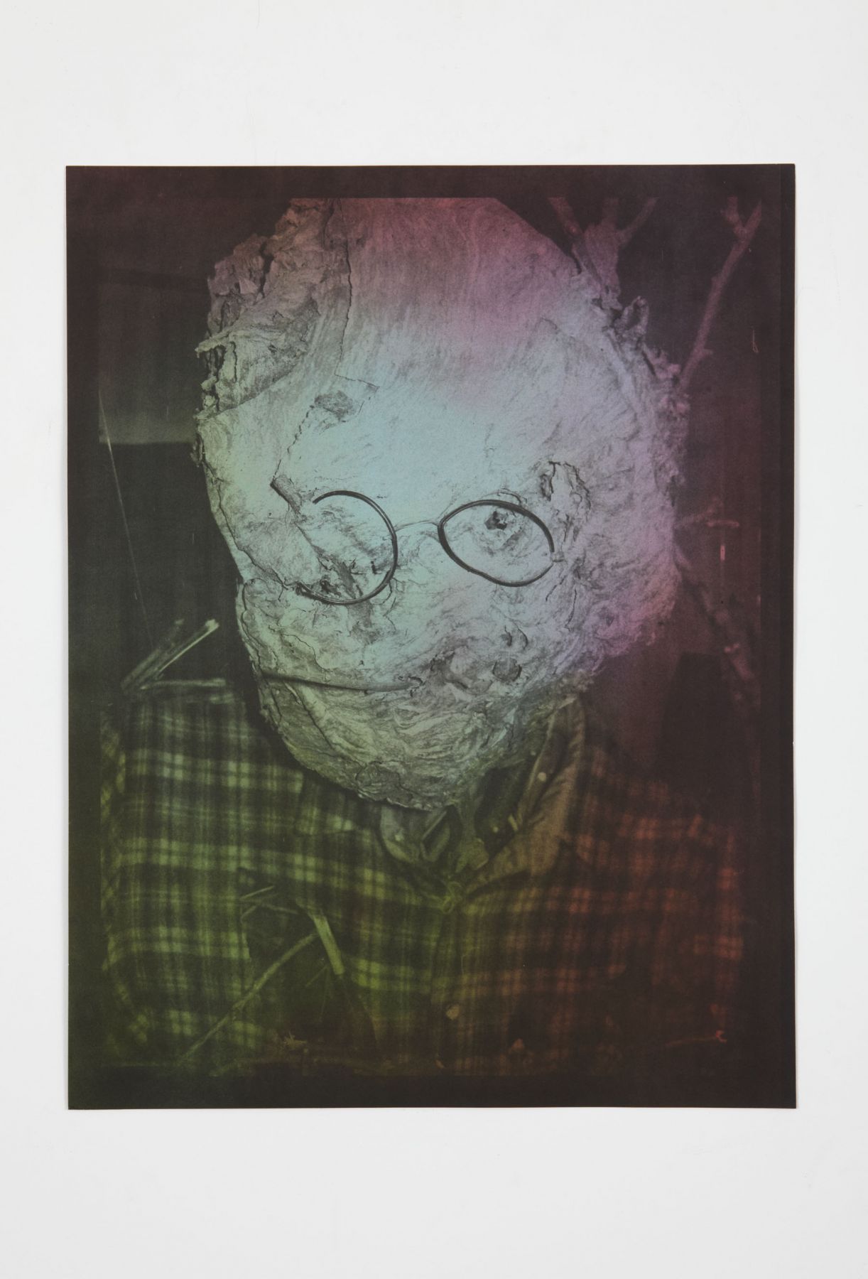 a print of a figure with a nest for a head by jay heikes