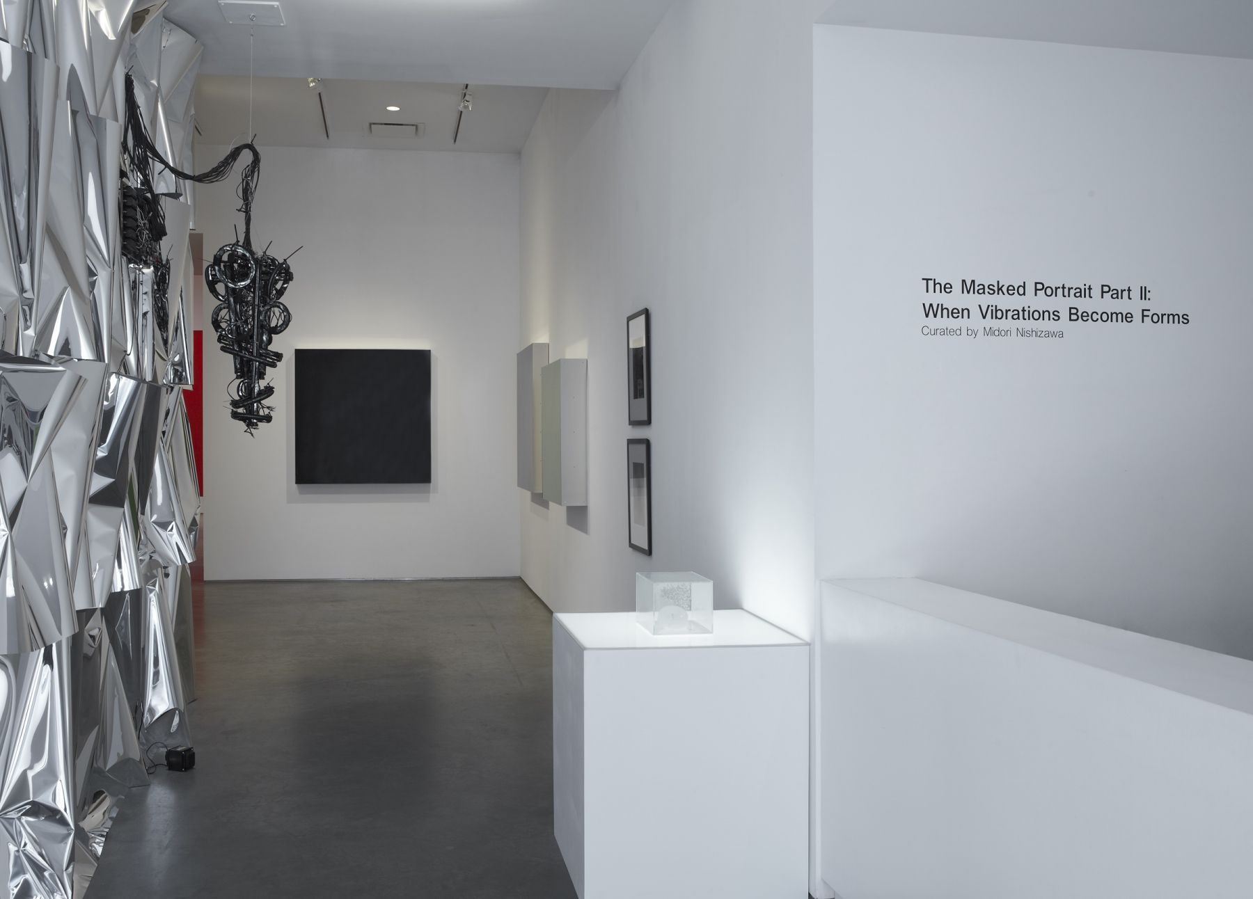 A Masked Portrait Part II: When Vibrations Become Forms (Installation View), Marianne Boesky Gallery, 2011