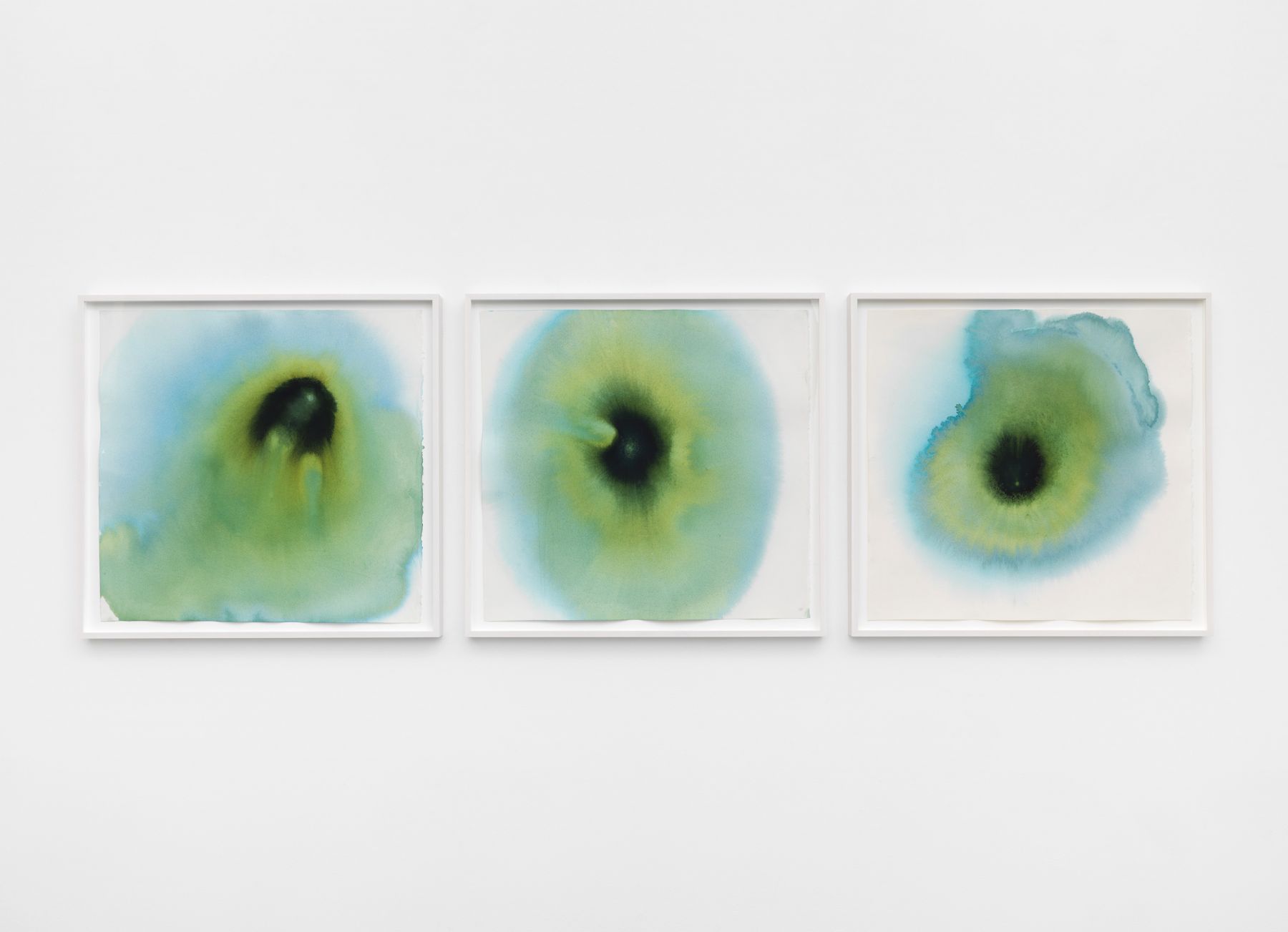 three watercolor portraits of bacteria by environmentally interested artist thiago rocha pitta
