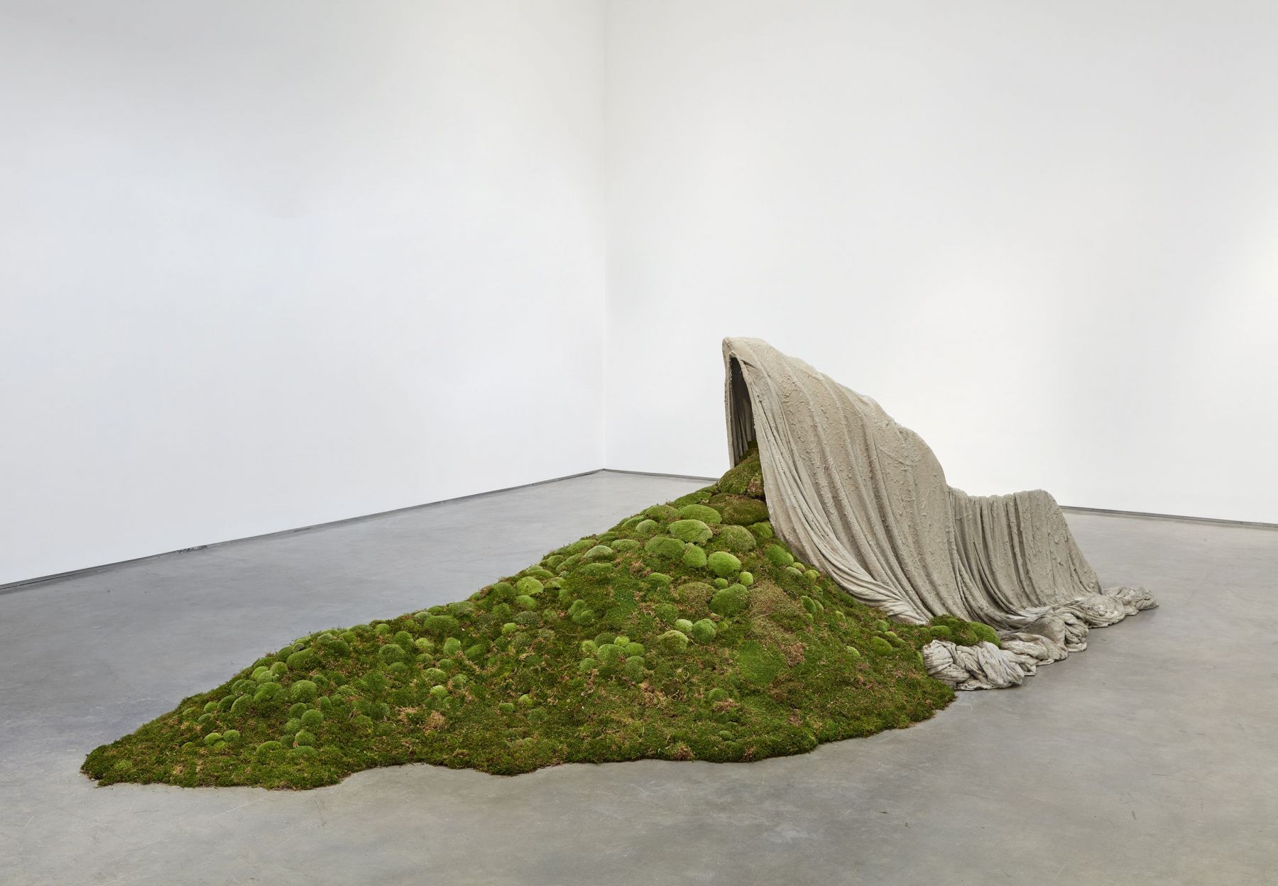 The Green Shelter, 2017