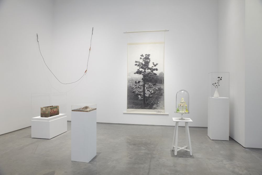 The Nature of Disappearance: Part I (Installation view), Marianne Boesky Gallery, 2012