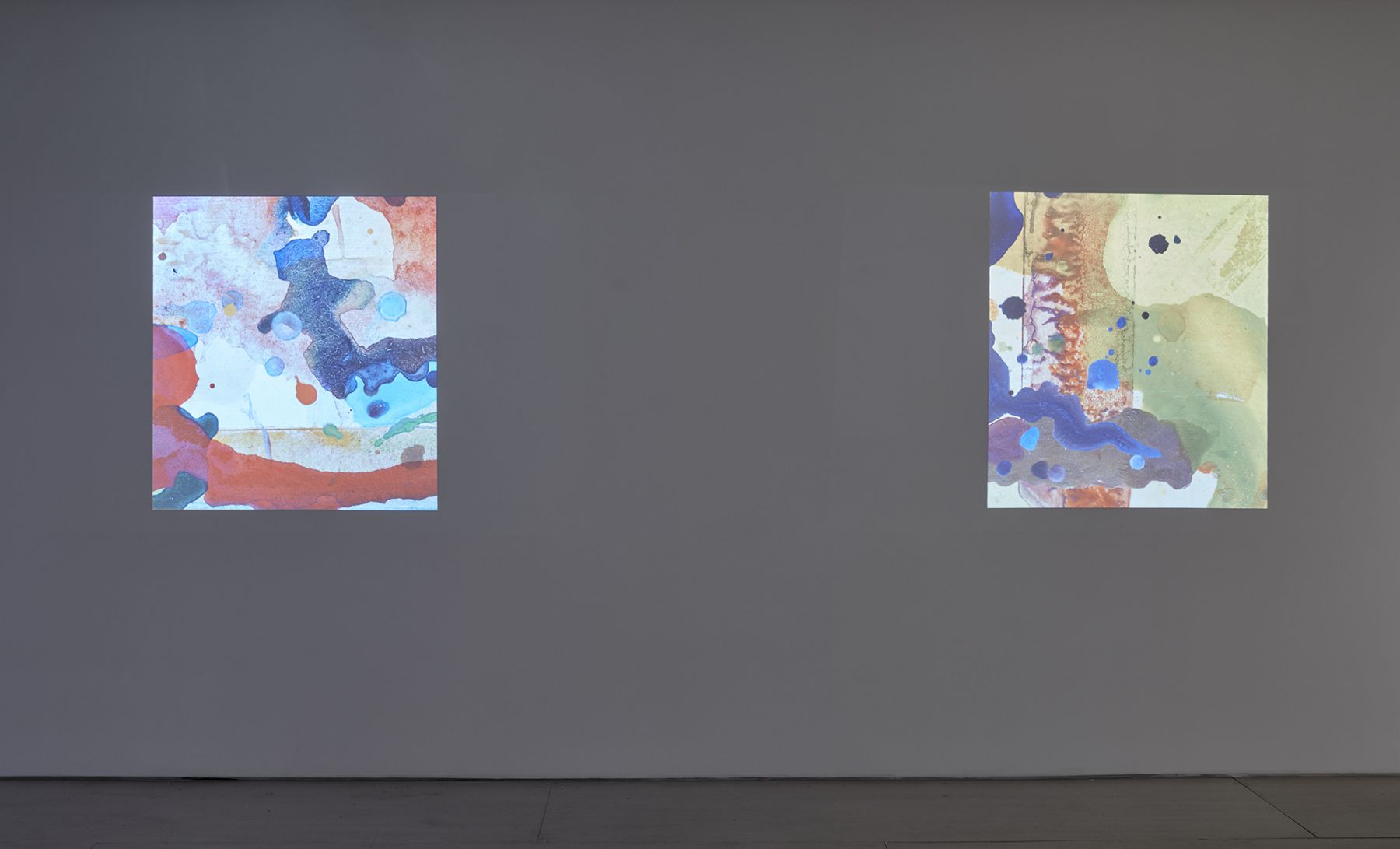 Jacco Olivier (Installation View), 20 Clinton Street, 2016