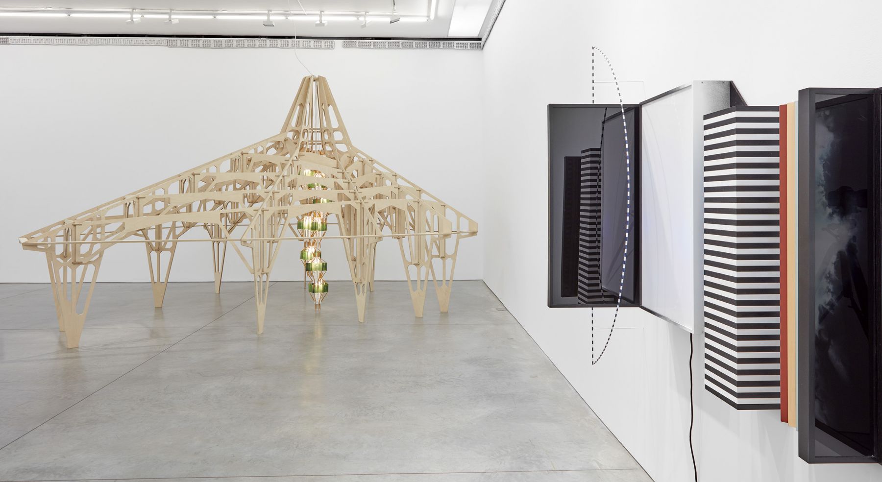 Cells (Installation View) Boesky East, 2017