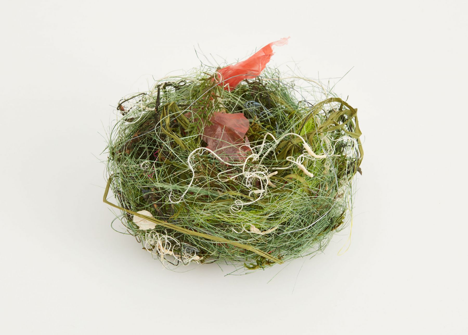 a bird's nest sculpture by German artist Bjorn Braun