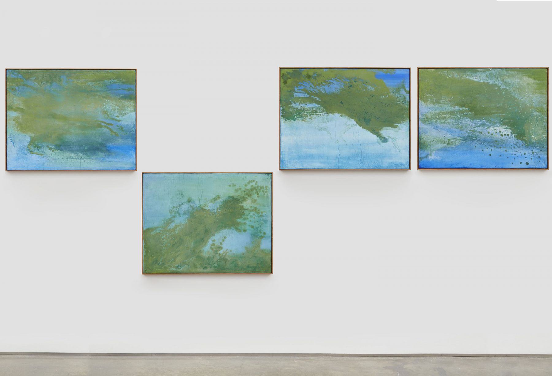 seascape with cianobacteria, 2017