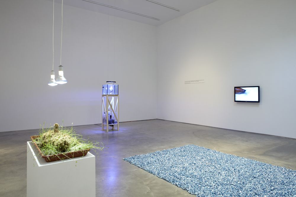 The Nature of Disappearance: Part I (Installation view), Marianne Boesky Gallery, 2012