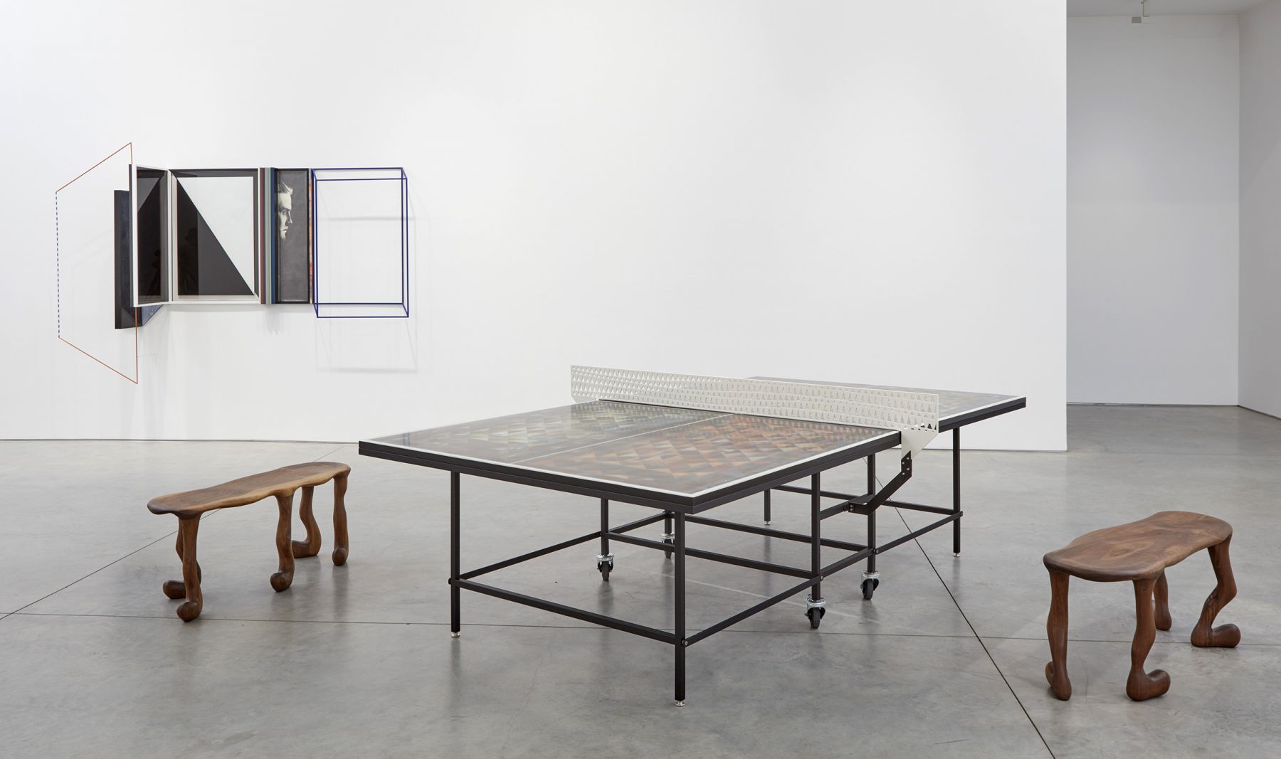 Cells (Installation View) Boesky East, 2017
