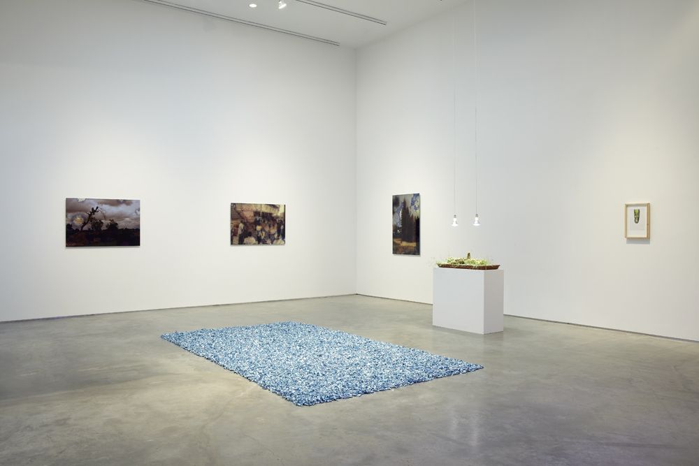 The Nature of Disappearance: Part I (Installation view), Marianne Boesky Gallery, 2012