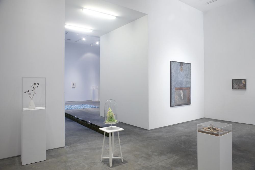 The Nature of Disappearance: Part I (Installation view), Marianne Boesky Gallery, 2012