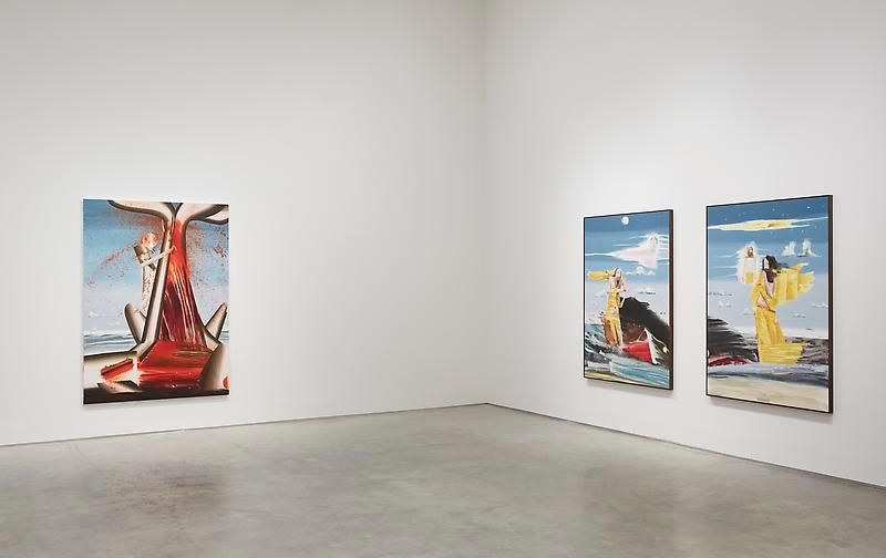 If Wishes Were Fishes (Installation View), Marianne Boesky Gallery, 2012