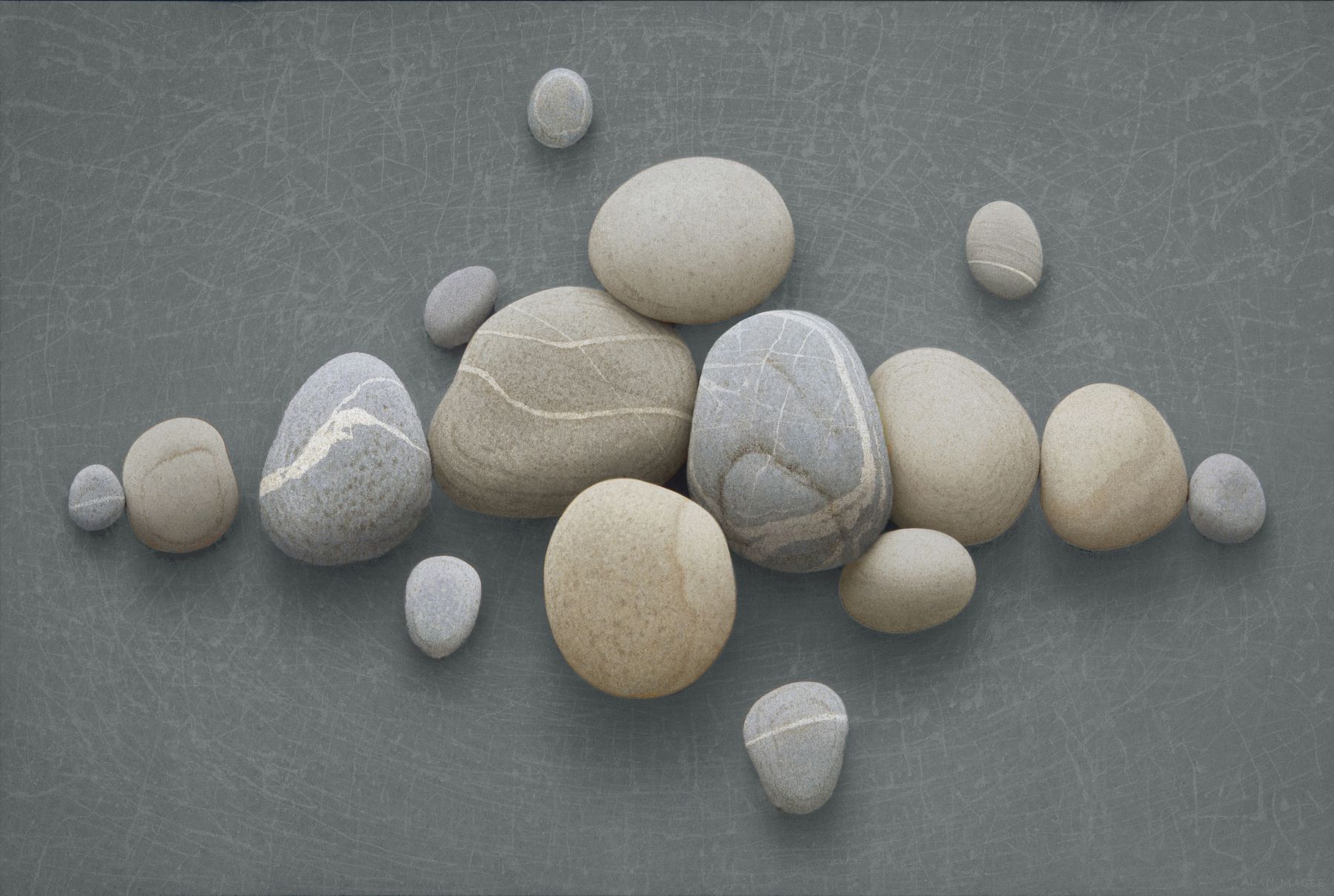 alan magee, Aphorism, 2010, acrylic on canvas, 46 x 69 inches