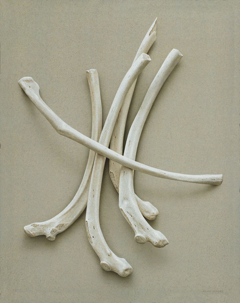 alan magee, Divination, 2016, acrylic on canvas, 50 x 40 inches