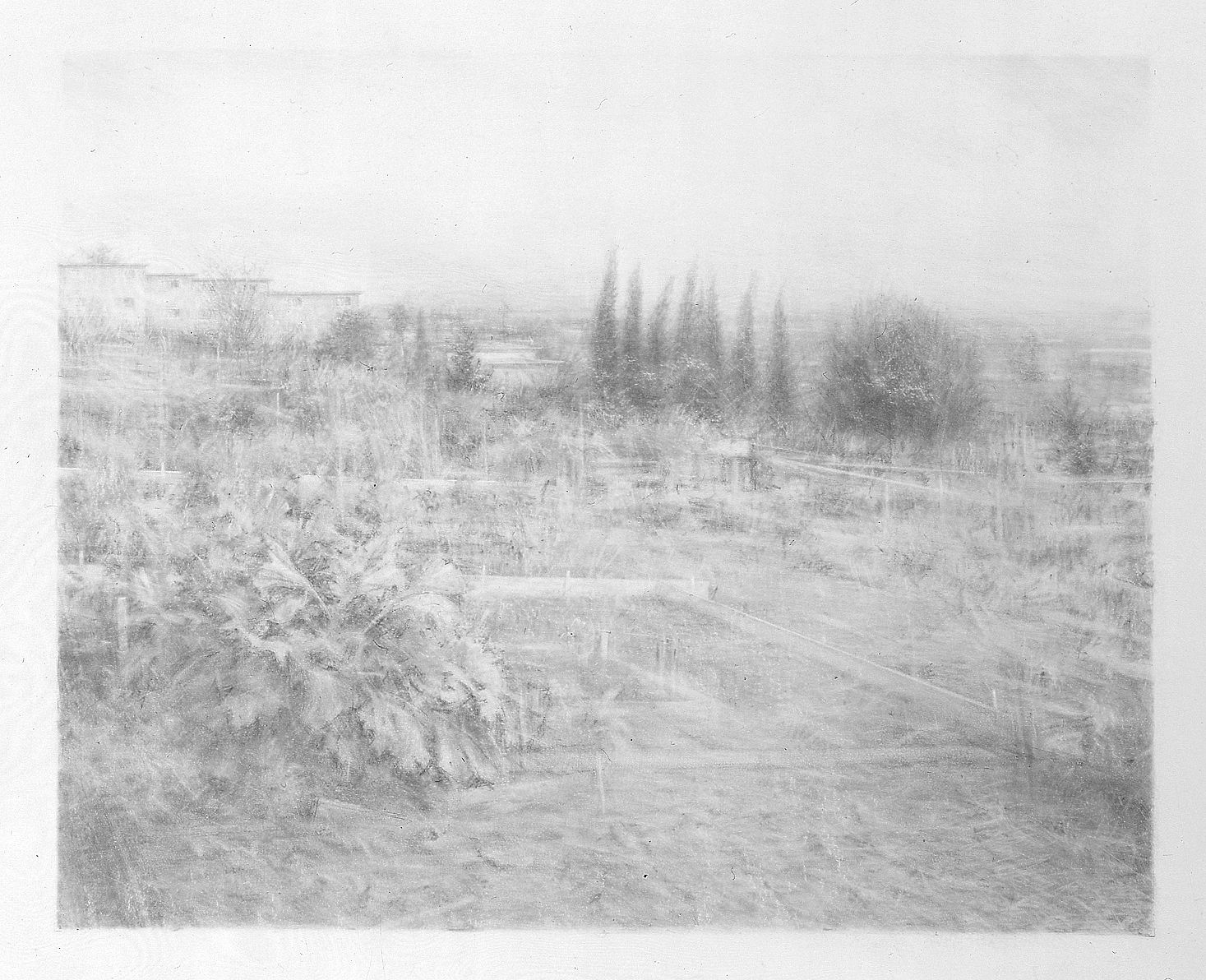 Robert Bauer, Centinela III, 2004, graphite on gessoed paper, 15 x 18 1/4 inches
