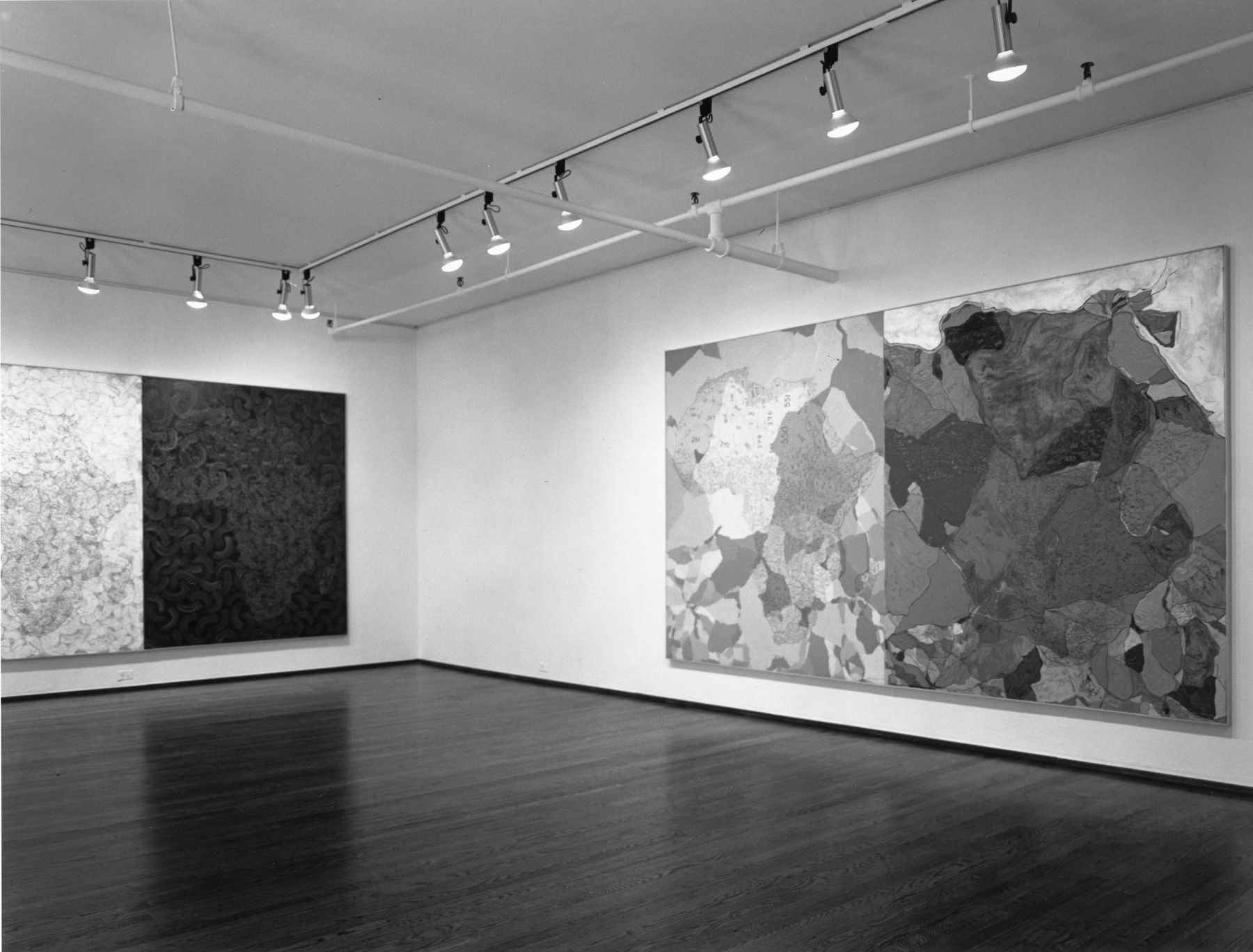 Charles Gaines Exhibitions Castelli Gallery