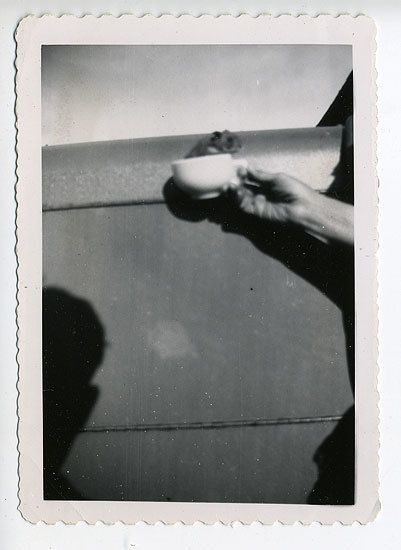 Hamster in a Teacup, 1960s, 3 1/2 x 5 in.