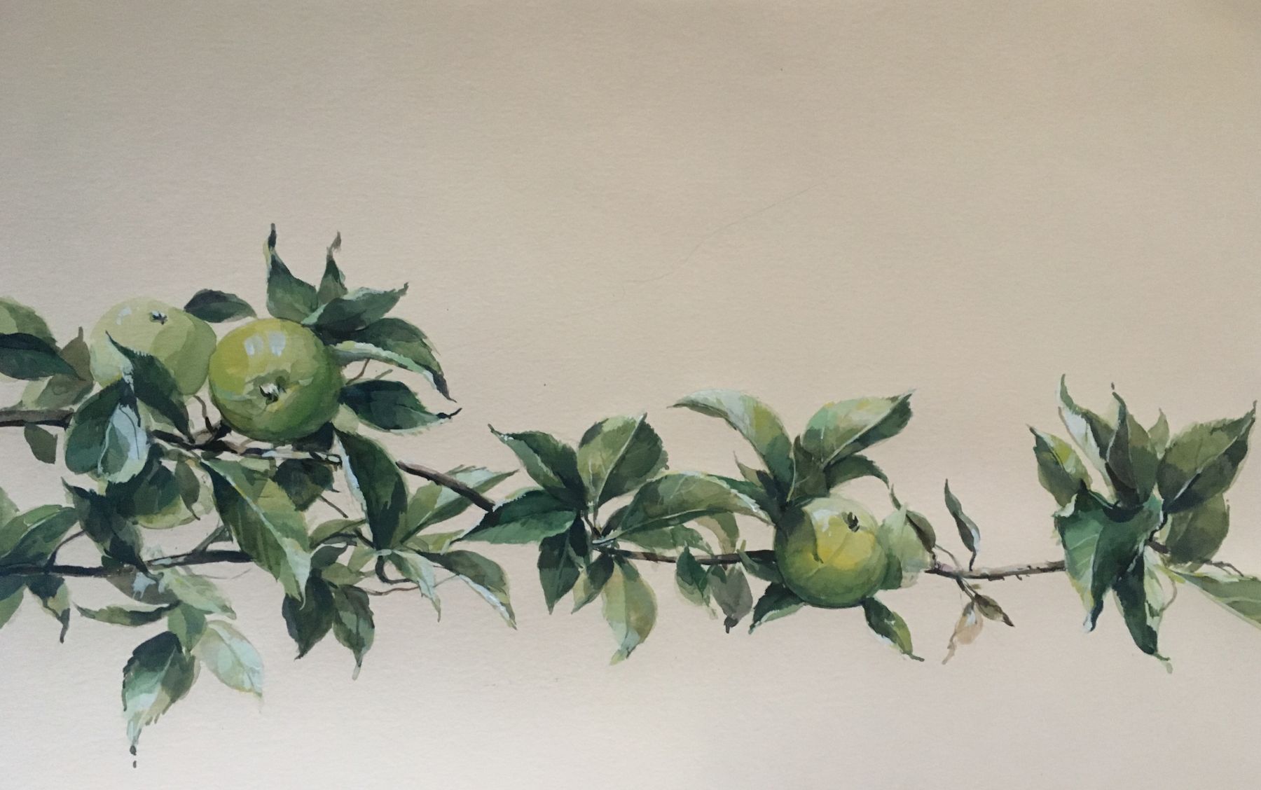 Apple Branch 15" x 22" Watercolor On Buff Paper