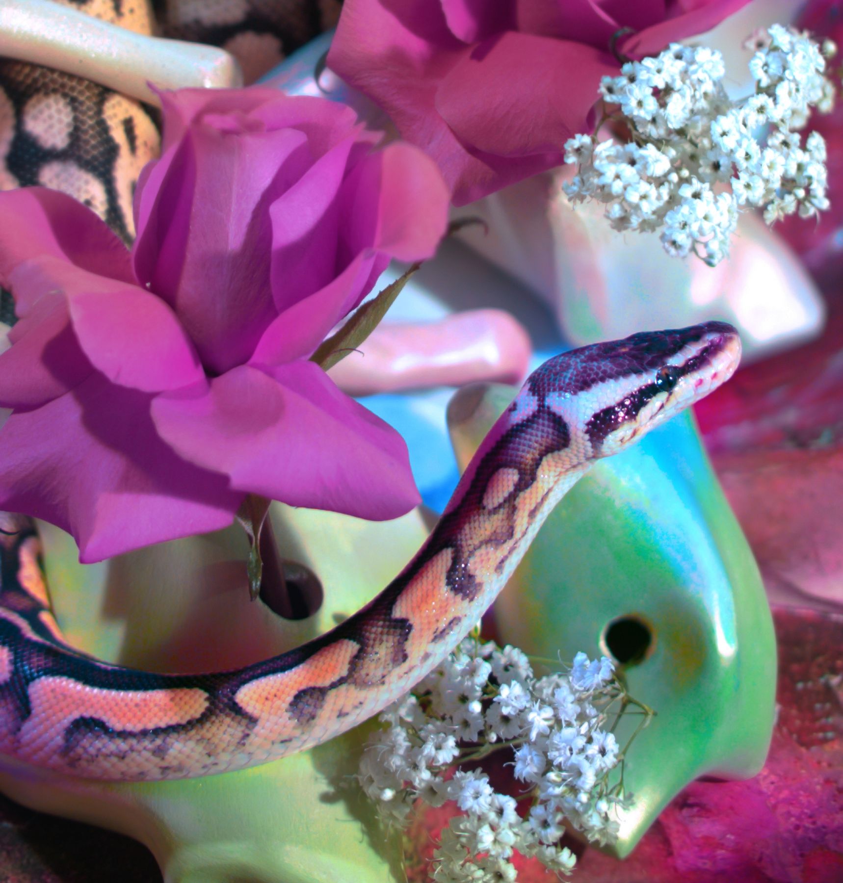 Theadora (Detail) 30" x 17" Digital Photograph On Sunset Metallic Paper