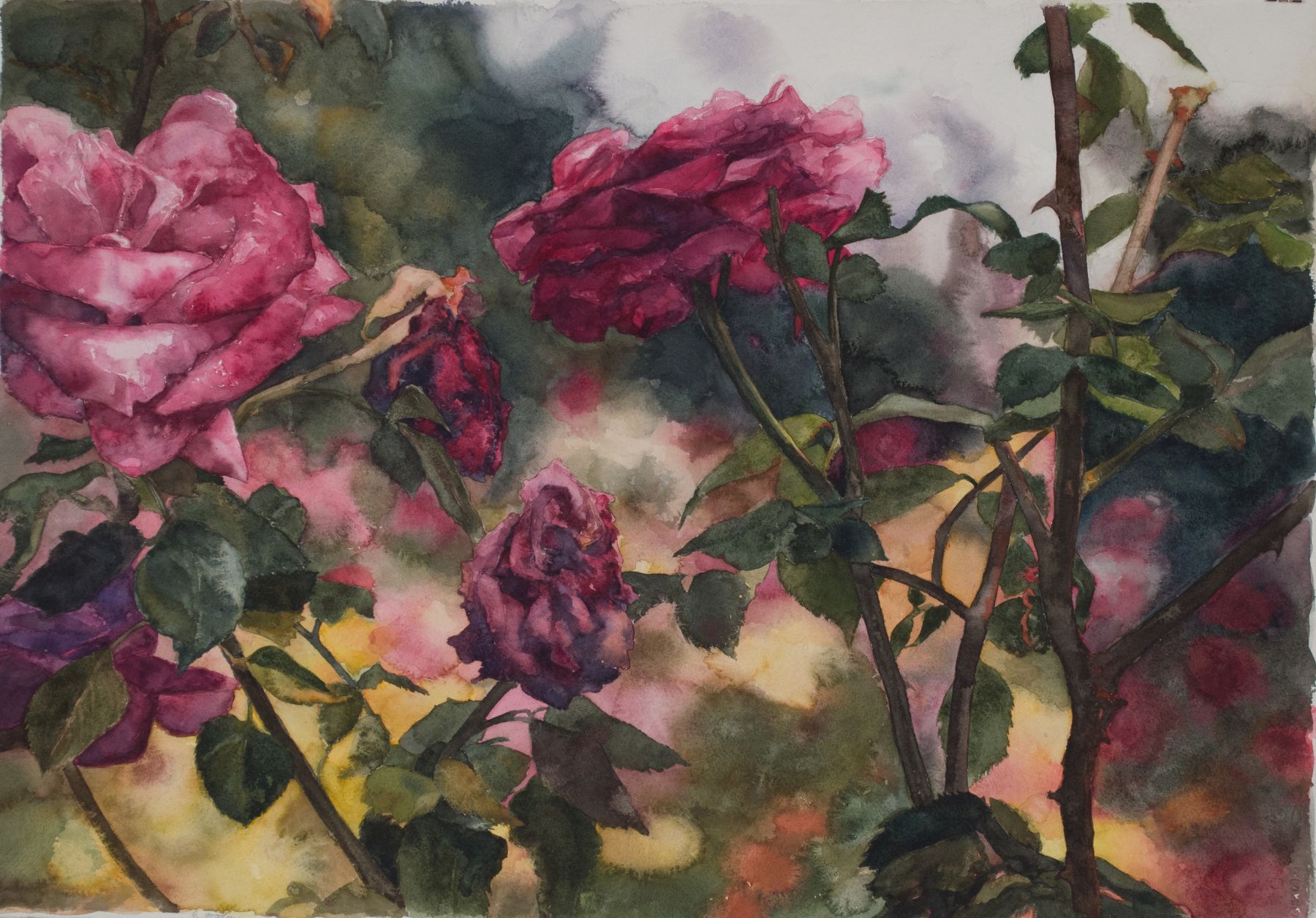 Roses In Front, Eileen Goodman, Watercolor