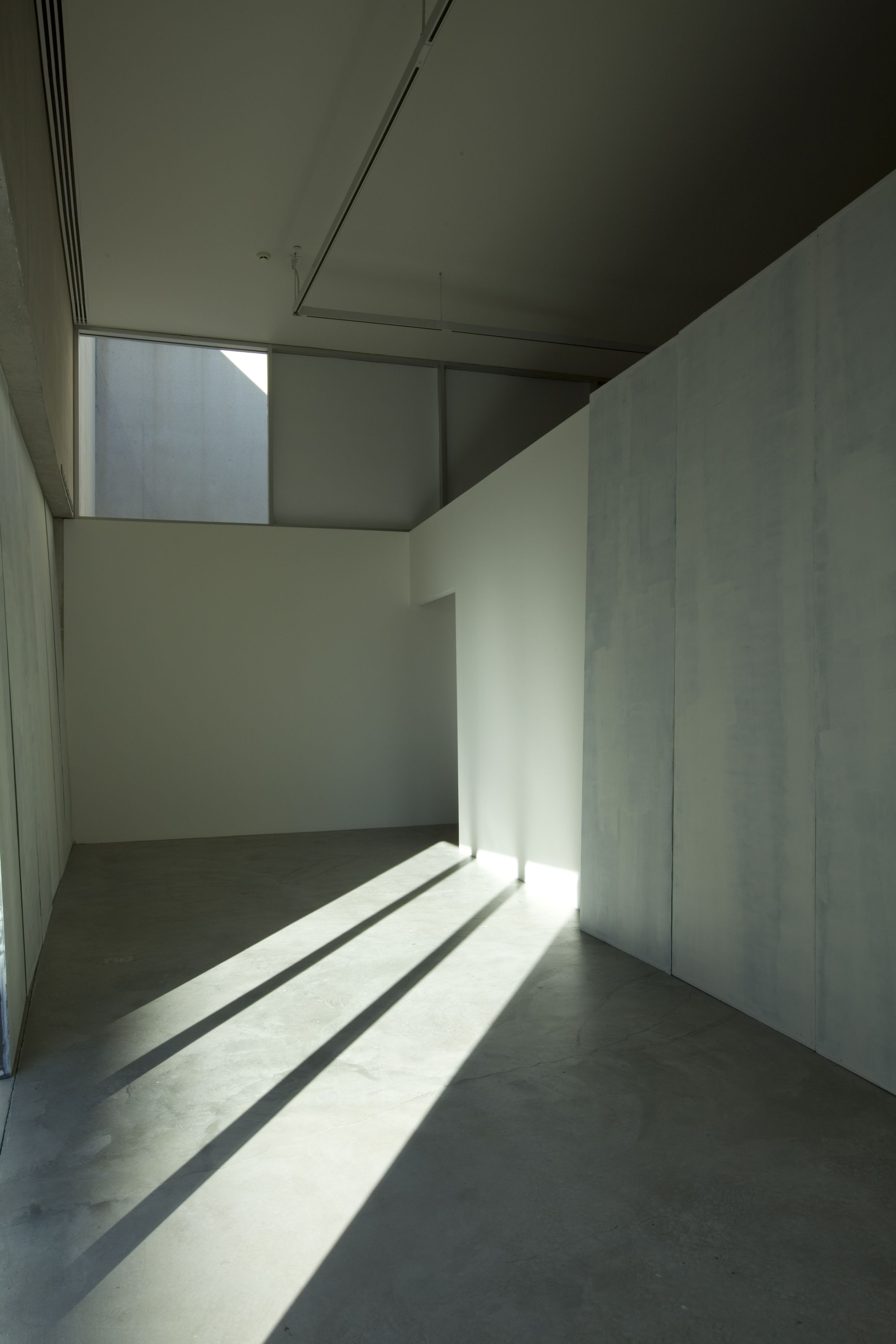 Gedi Sibony Duck Dive, 2009 Nine painted wood panels 144 x 43 x 1 7/8 inches (365.76 x 109.22 x 4.76 cm) each