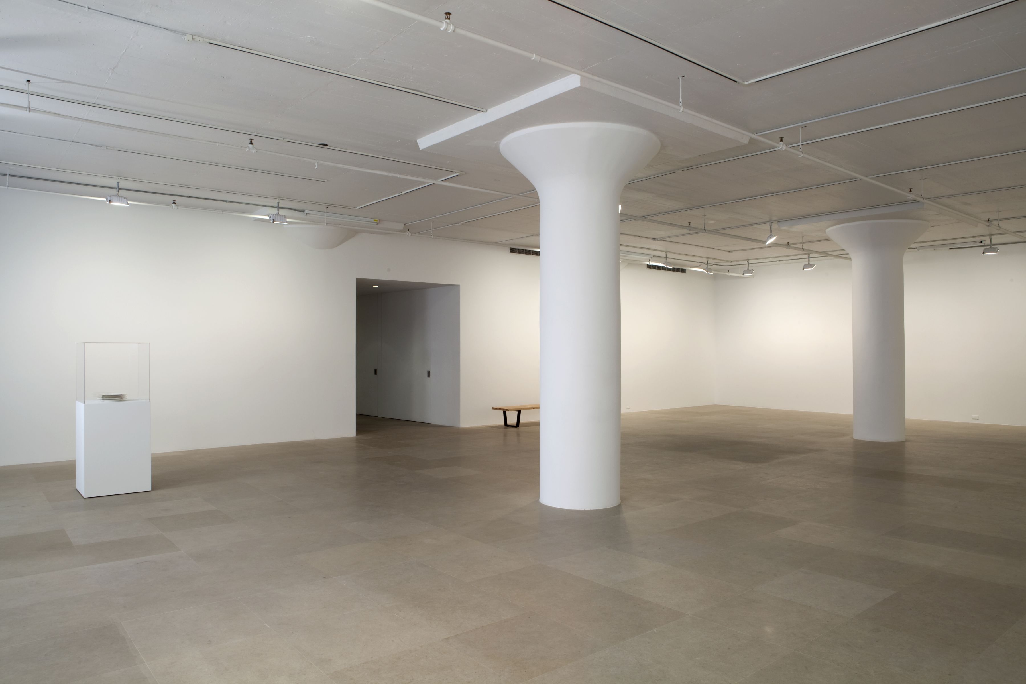John Knight, Installation view, Autotypes, a work in situ, Greene Naftali, New York, 2011