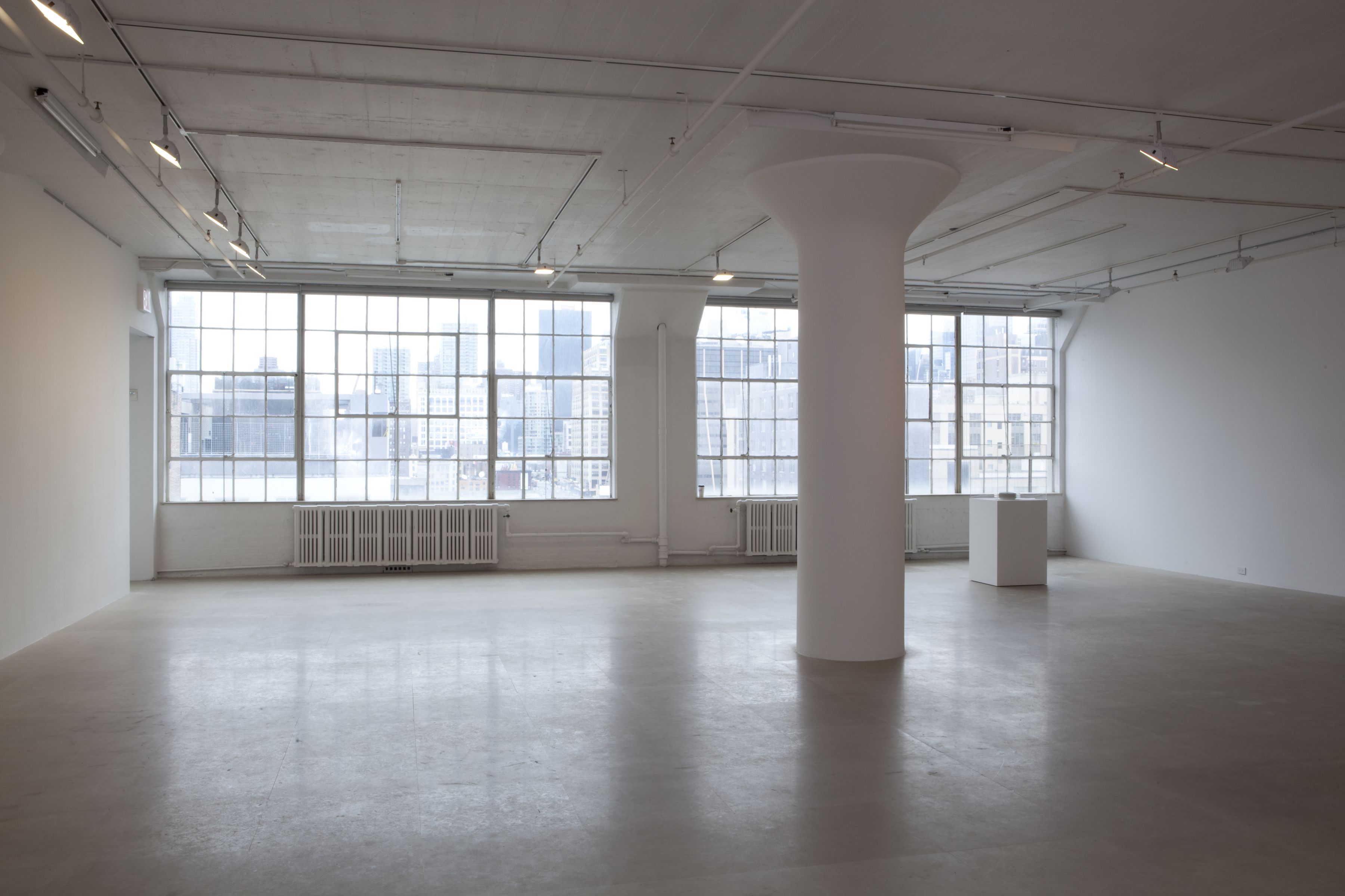 John Knight, Installation view, Autotypes, a work in situ, Greene Naftali, New York, 2011