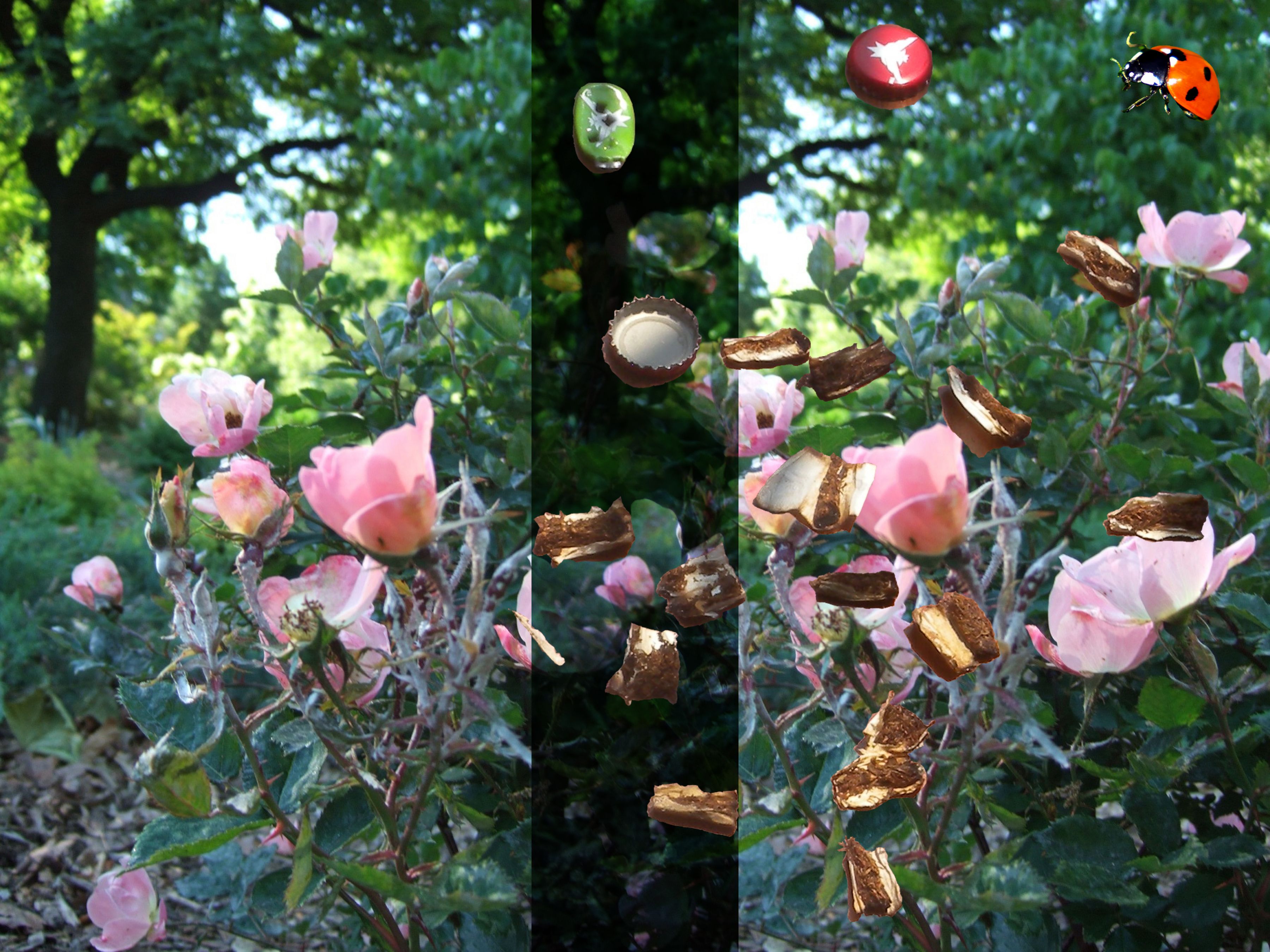 Josef Strau Untitled, 2012 Digital projection of 19 slides, duration 3:10 min Dimensions variable