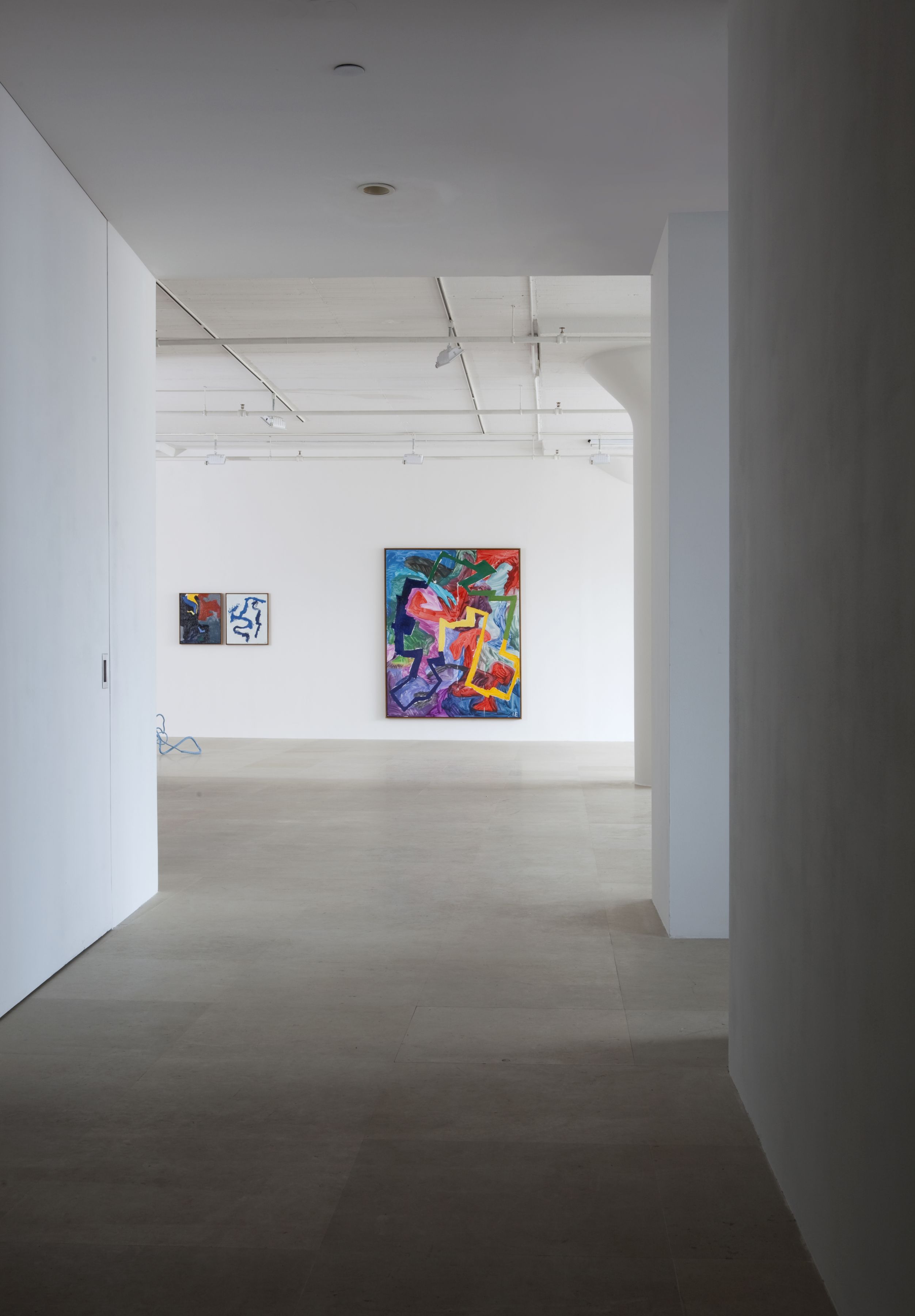 Ida Ekblad, Installation view, Greene Naftali, New York, 2011